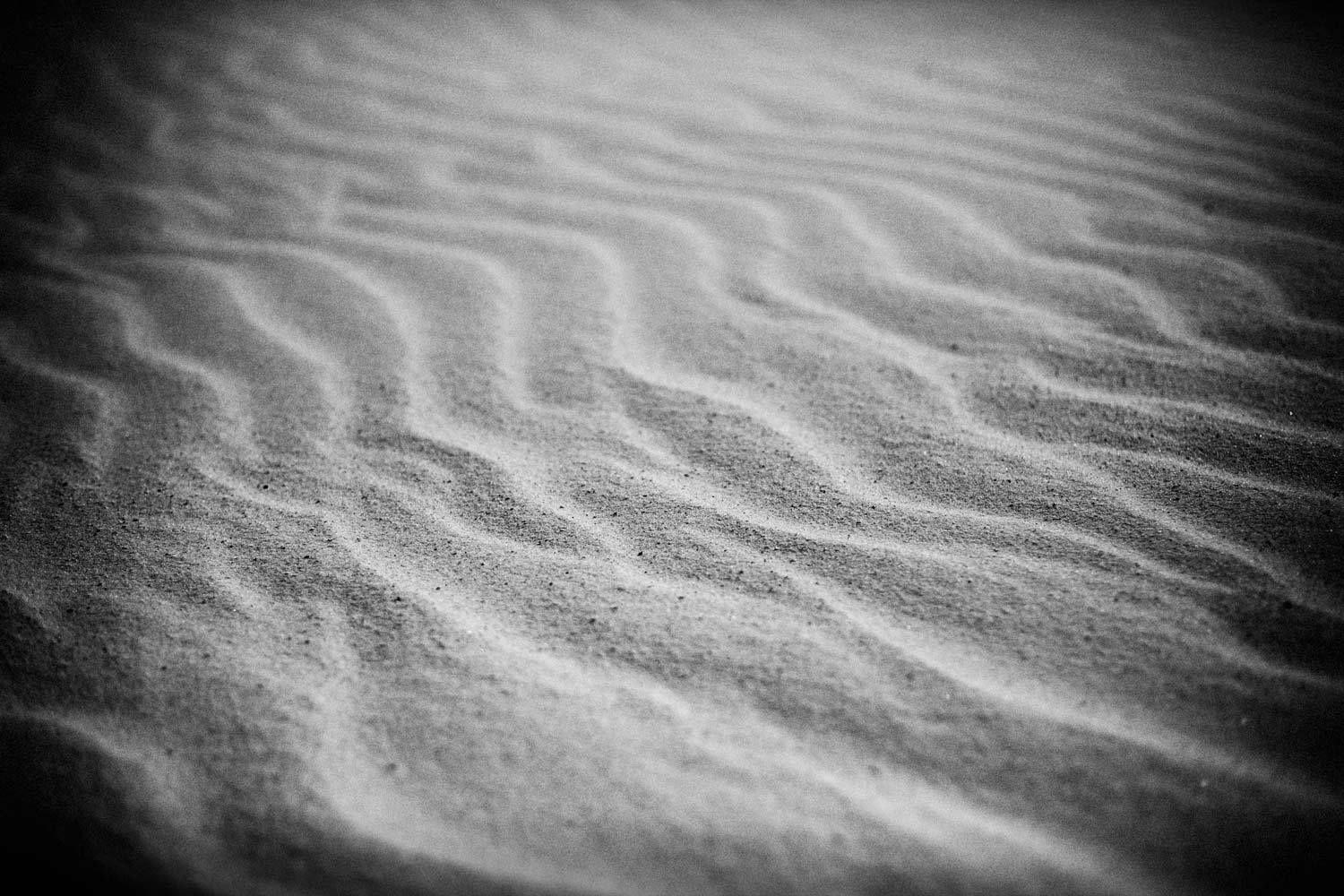 Orlando, Florida Professional Landscape Photography