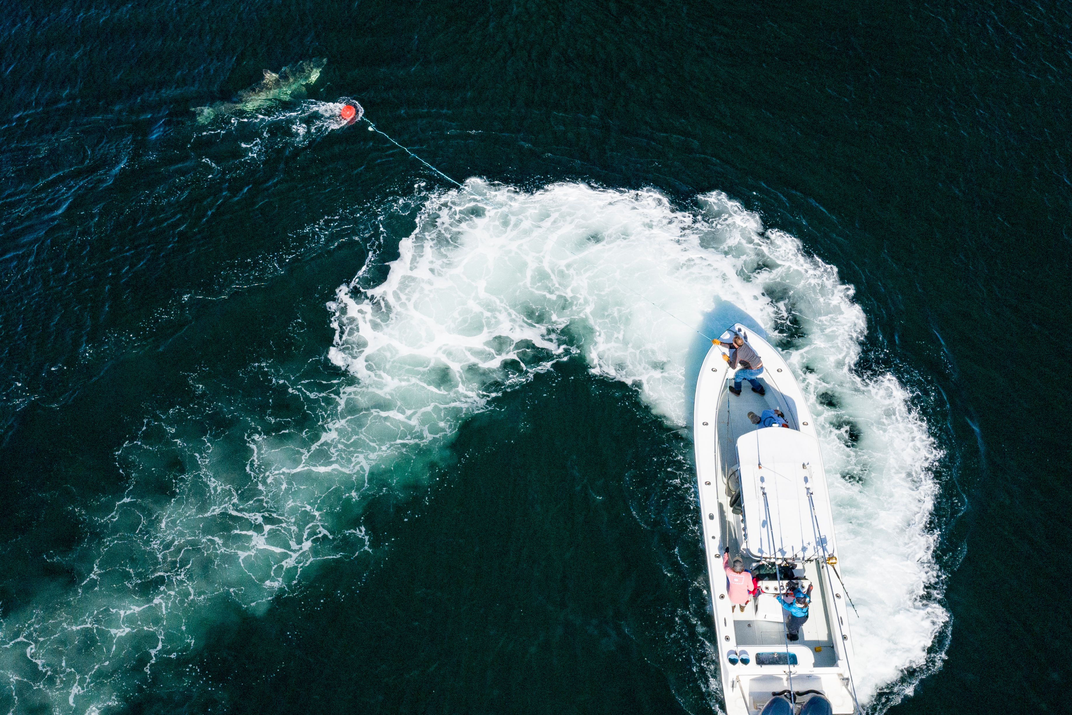 09202019_OCEARCH_NovaScotia_HayIsland_1366 copy.jpg