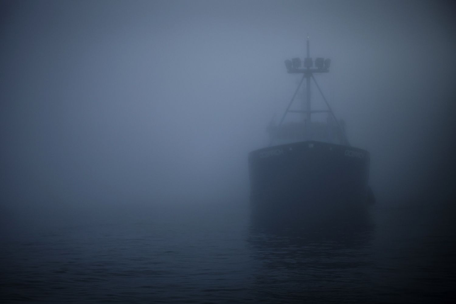 MYSTERIOUS ATLANTIC WHITE SHARK