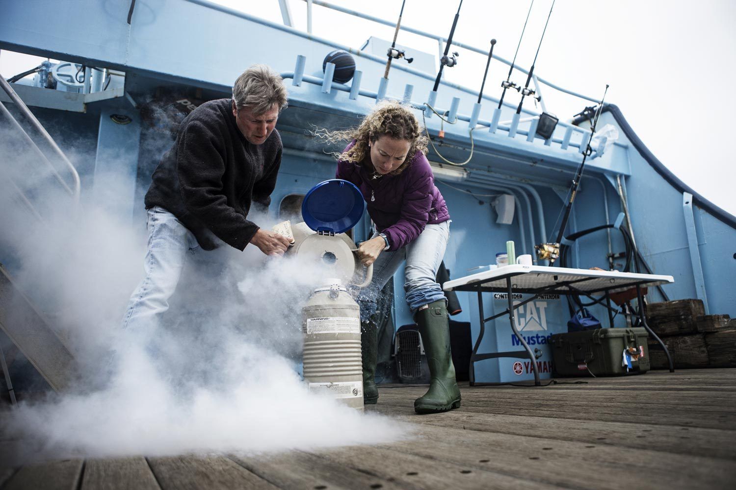 MYSTERIOUS ATLANTIC WHITE SHARK