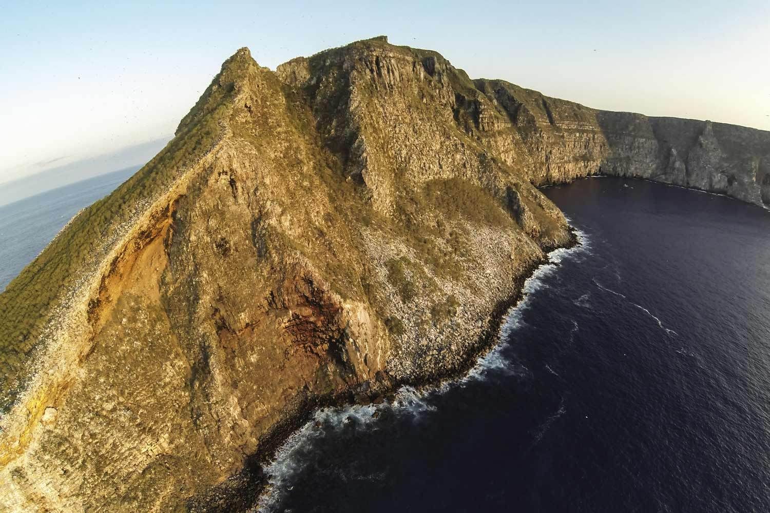 Florida Nature and Wildlife Photographer