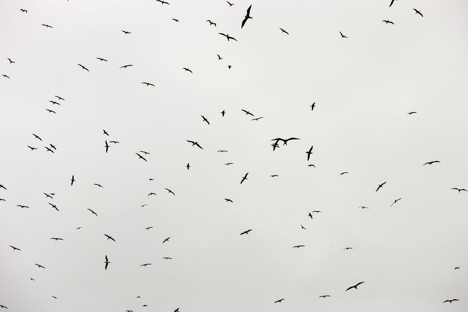 Florida Professional Photographer