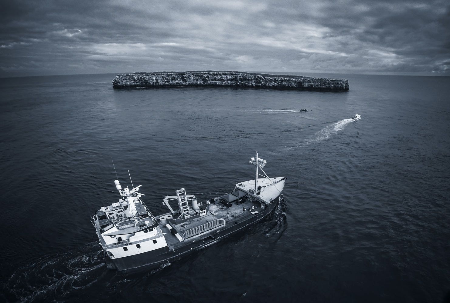 Florida Marine Wildlife Photography