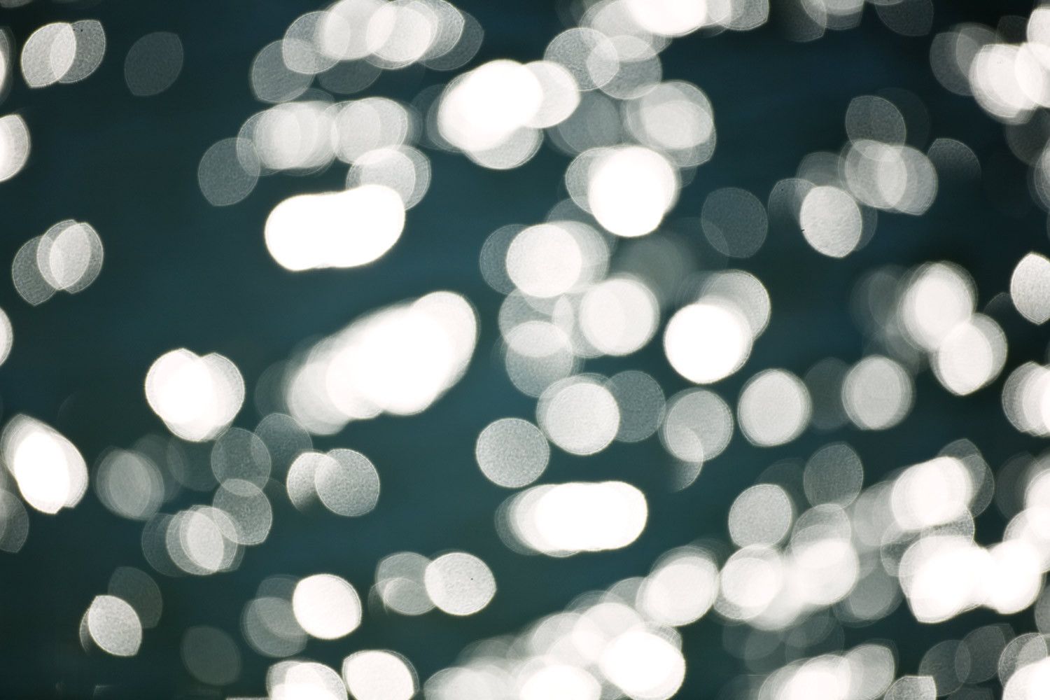 Florida Ocean Underwater Photographer