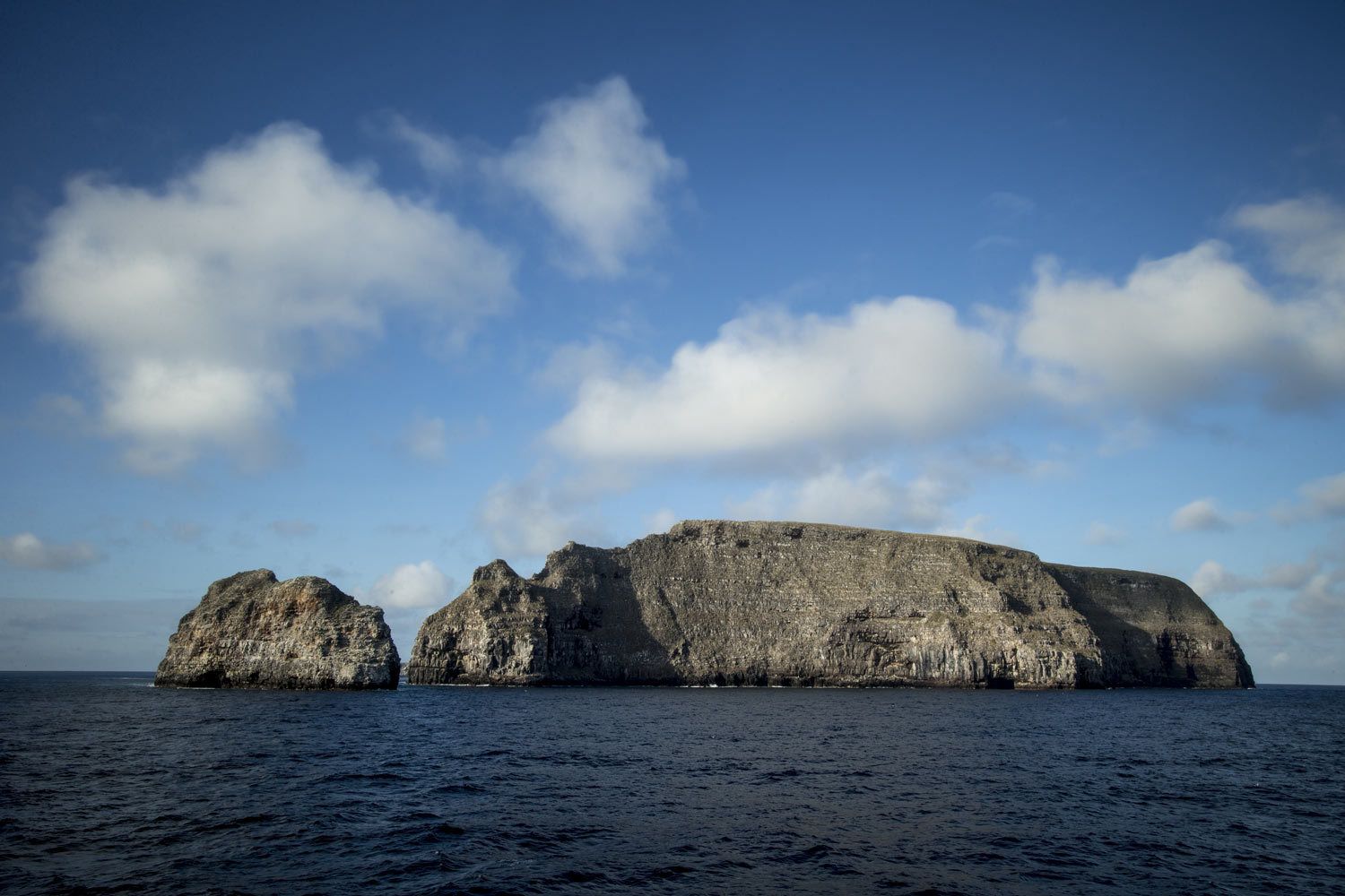 Galapagos Island - Florida Marine Life and Wildlife Photographer
