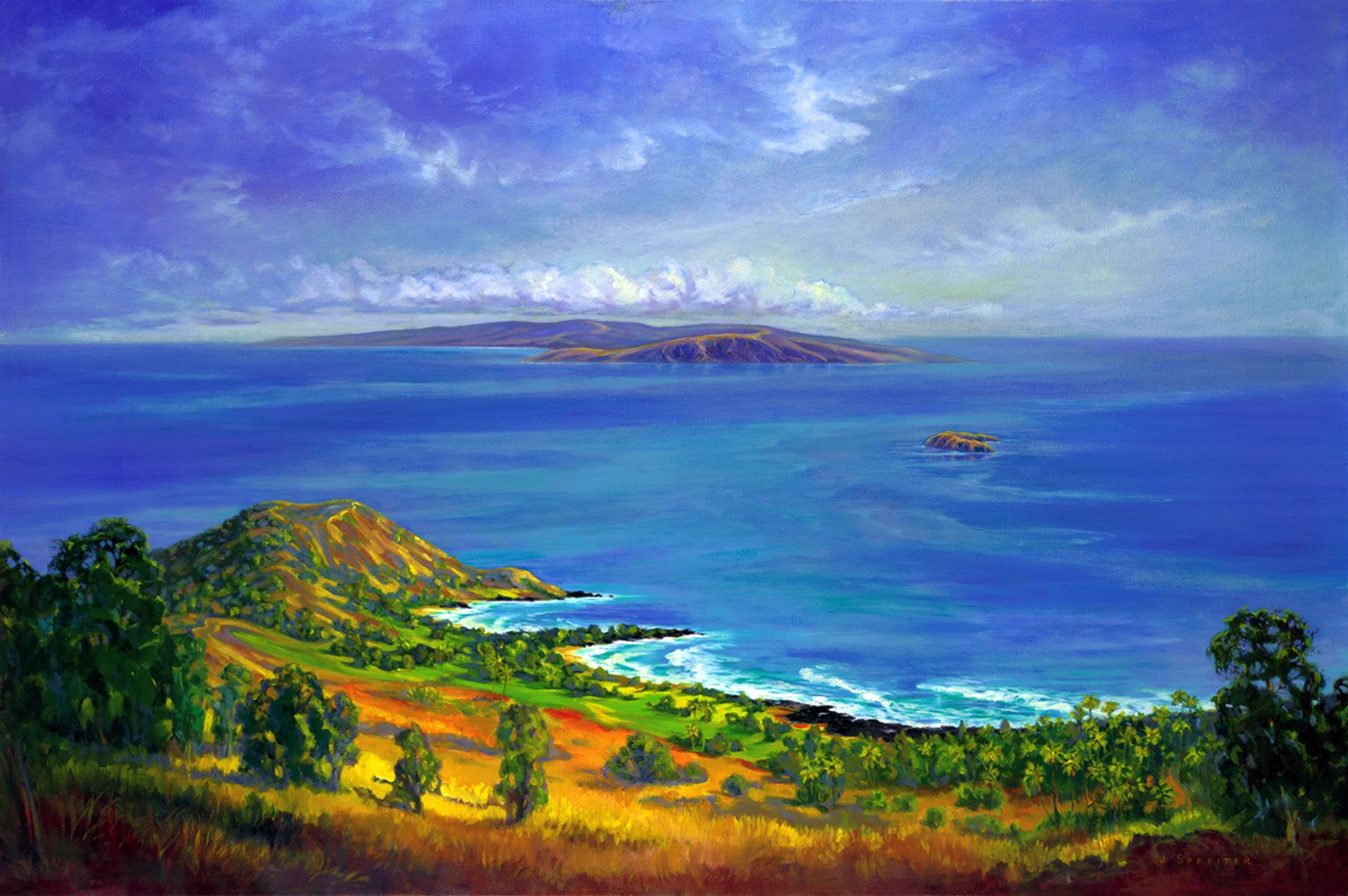 32"x48" original oil on canvas Above Wailea