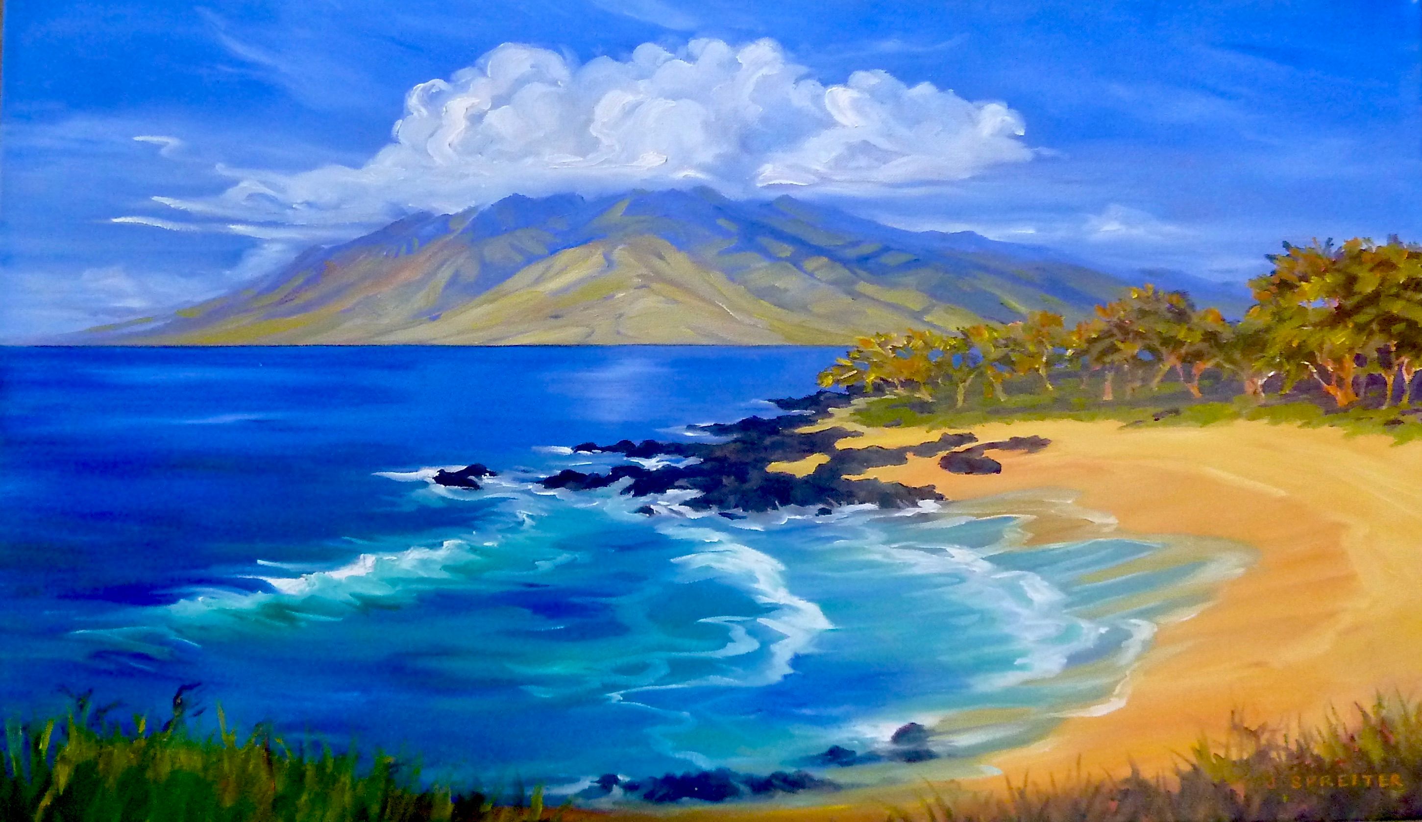 Original oil on canvas 20"x32" Maui
