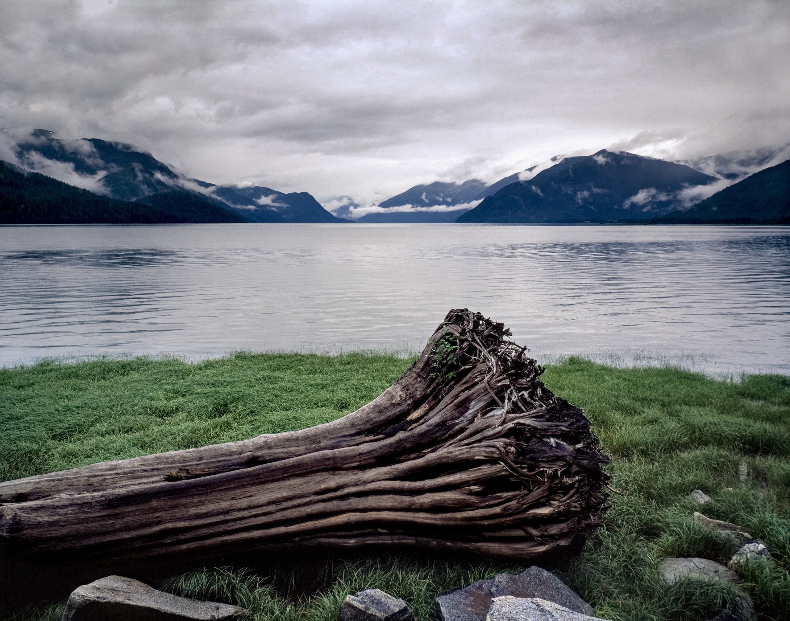 Drift Log, Skeena River, British Columbia, Canada