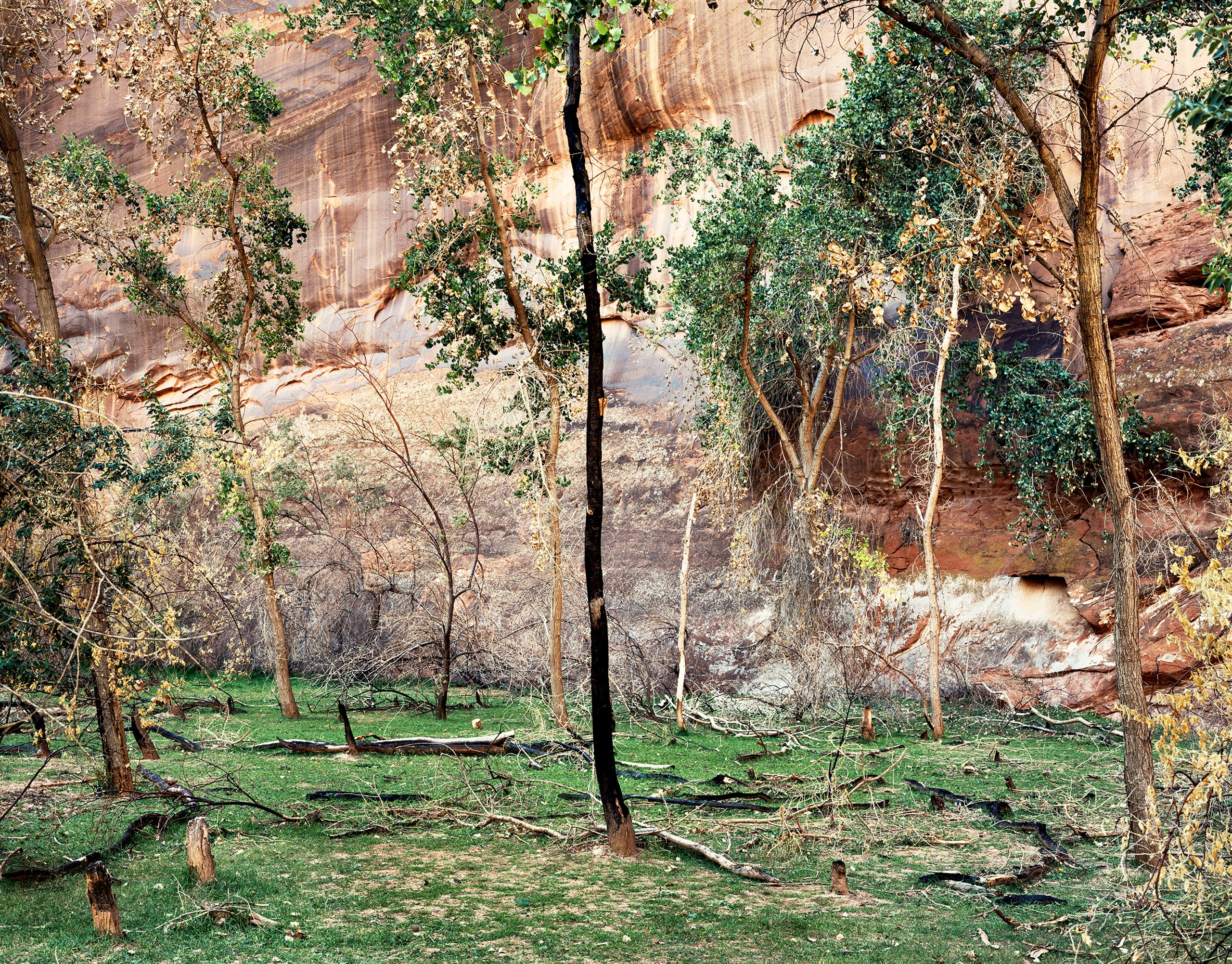 Canyon del Muerto, near White House Ruins, Arizona