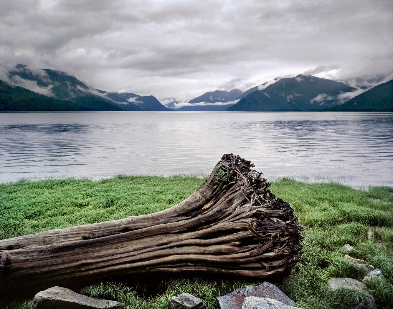 23. Drift Log, Skeena River, British Columbia, Canada.jpg
