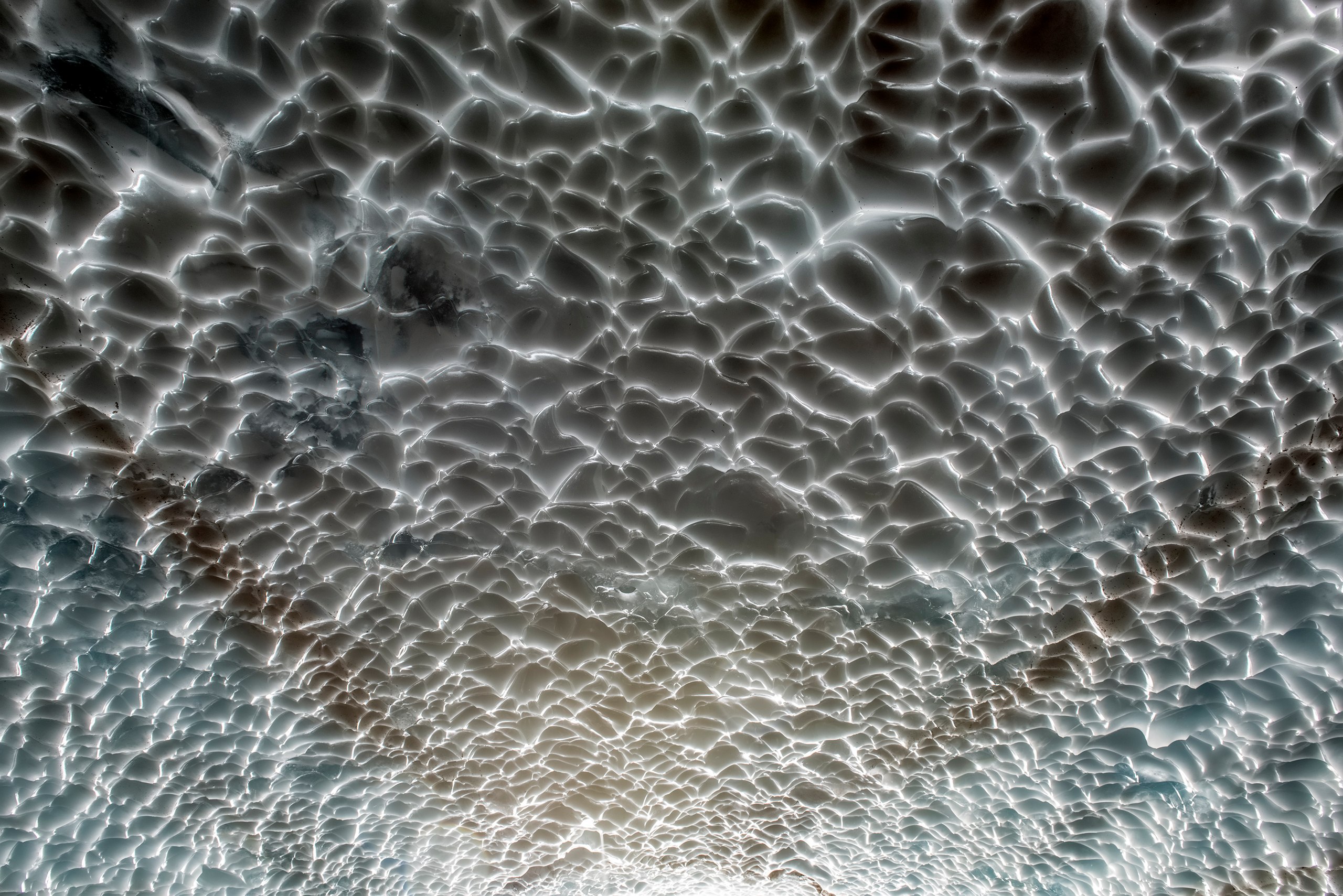Ceiling, Snow Cave, near Verlot, Washington 