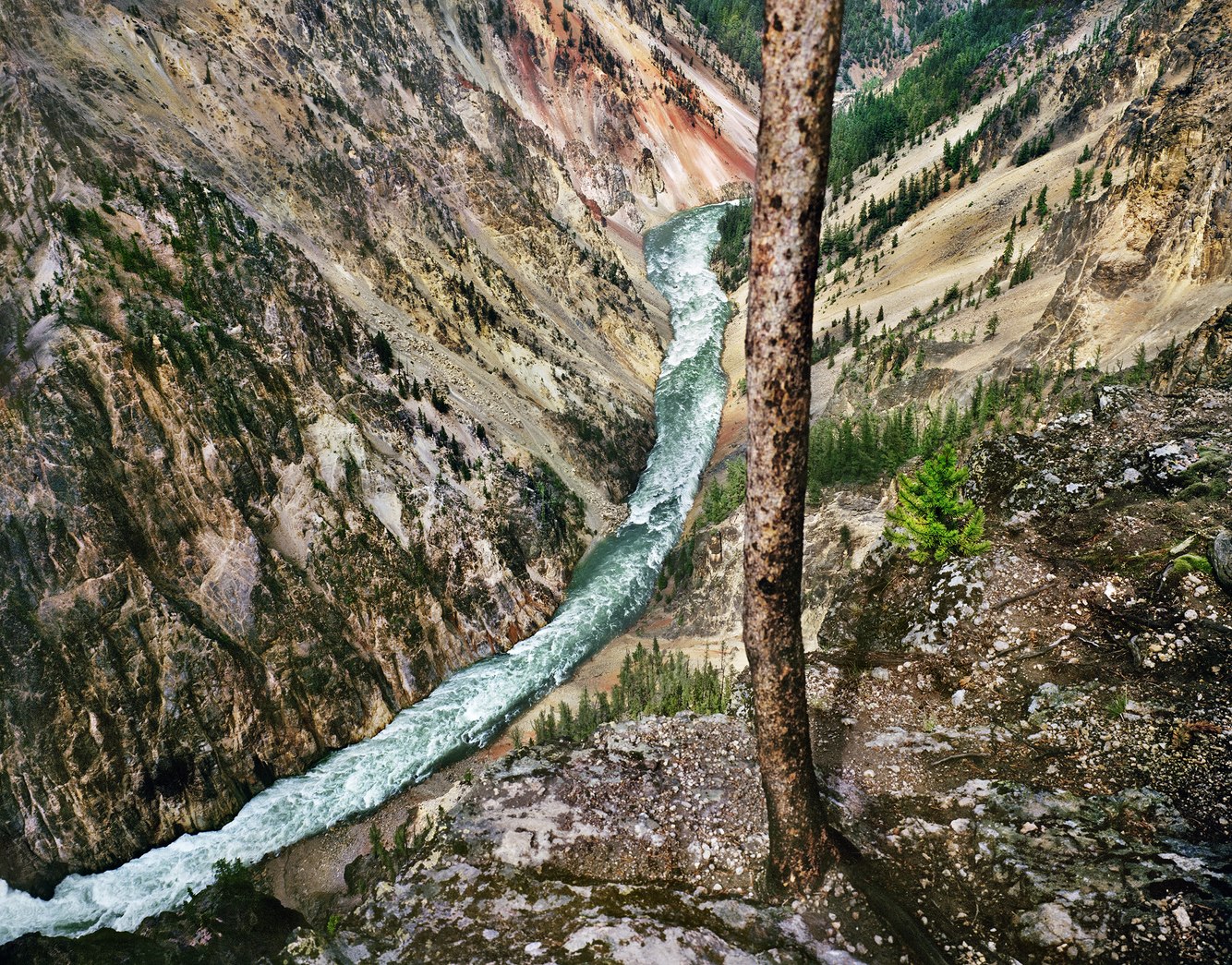 115. Canyon of the Yellowstone River, below Inspiration Point, Yellowstone National Park, Wyoming.jpg