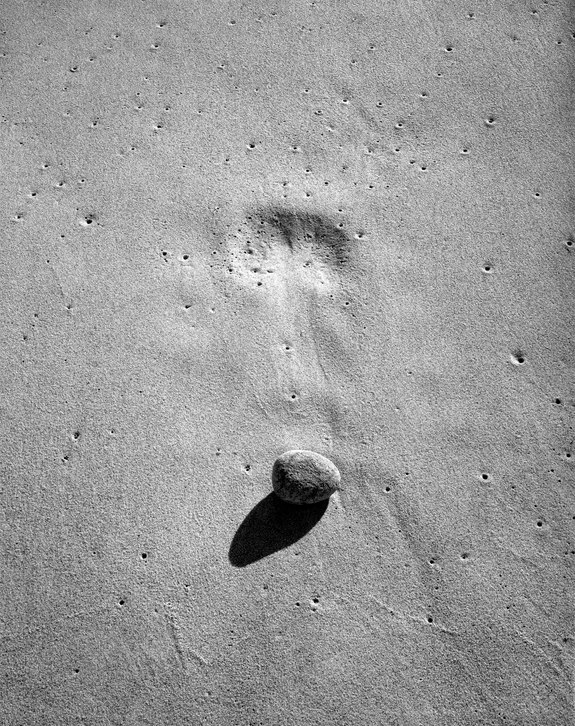 88. Waterworn Stone, Nauset Beach, Cape Cod, Massachusetts 1.23.2025.jpg