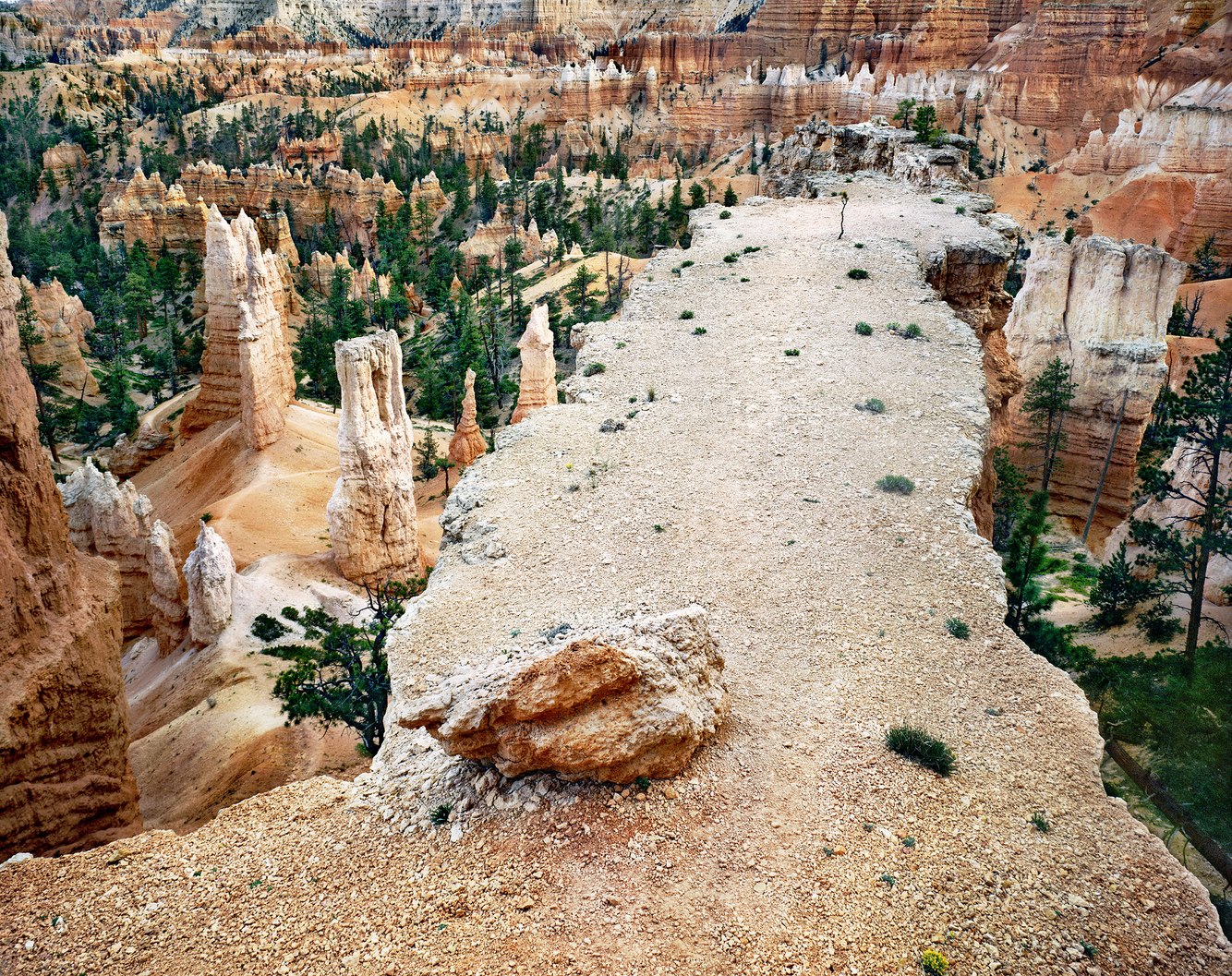 37. Above Queen's Trail, Bryce Canyon, Utah 2.1.2024.jpg