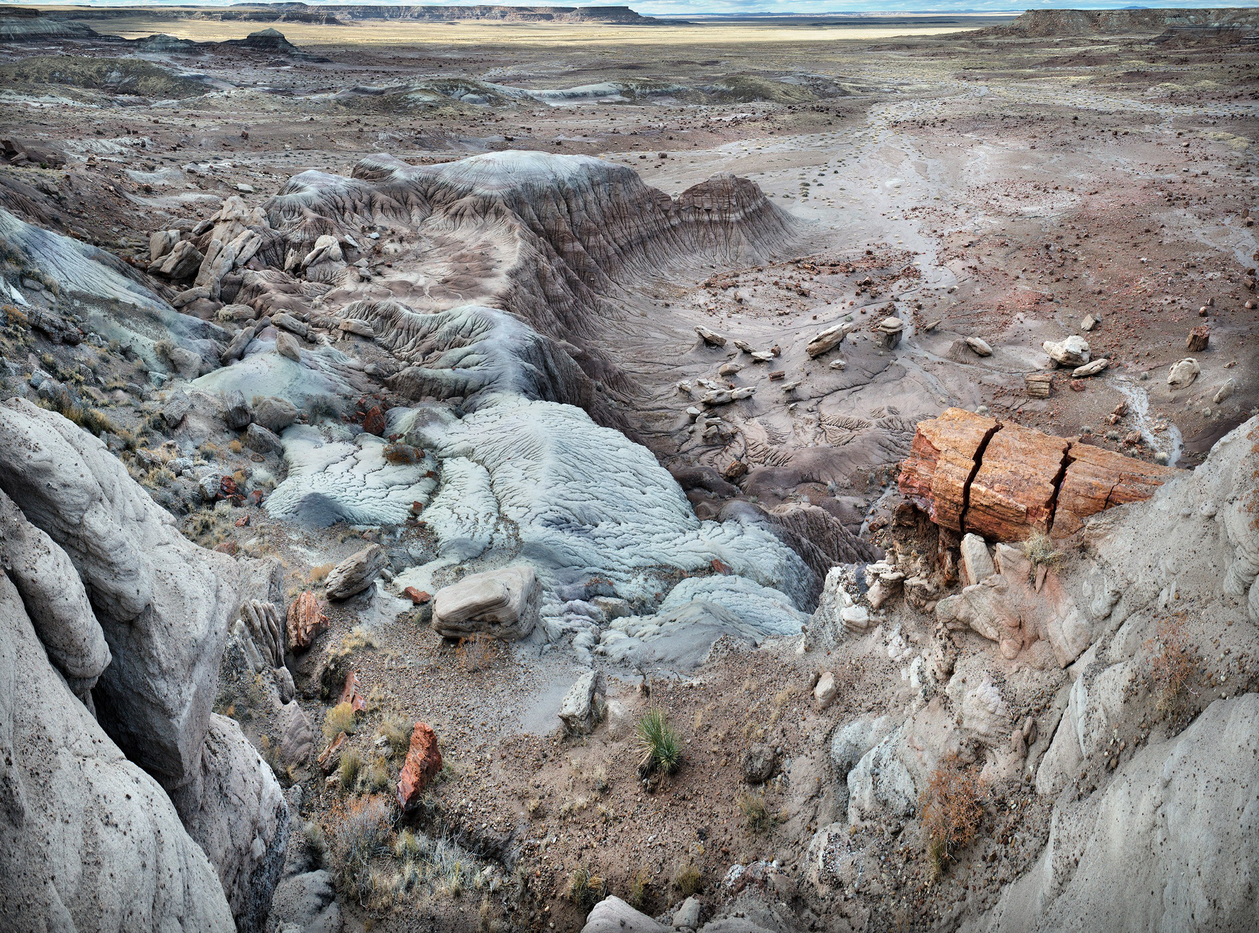 Chinle Formation, Petrified Forest National Park, Arizona