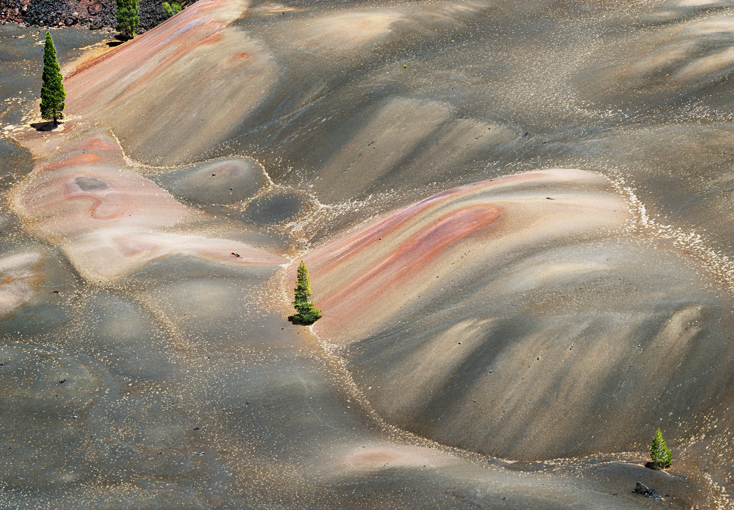 Tamarack Pines and Painted Dunes, near Butte Lake, California