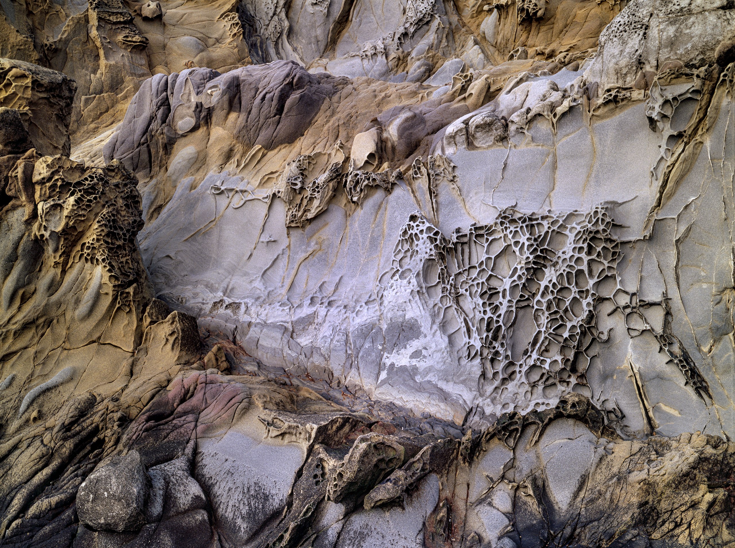 Sandstone Tafoni Formation, Pebble Beach, California Coast