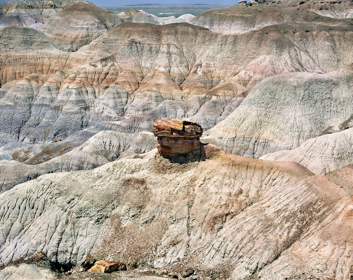 91. Petrified Tree Trunk, Blue Mesa, near Navajo, Arizona 2.12.2025.jpg