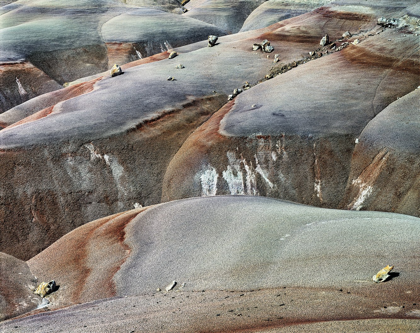 162. Bentonite Hills, Capital Reef, Utah 6.22.2026.jpg