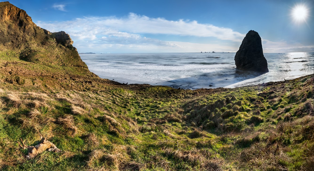 142. Needle Rock, Dead Fawn, Cape Blanco, Oregon 1.7.2026.jpg