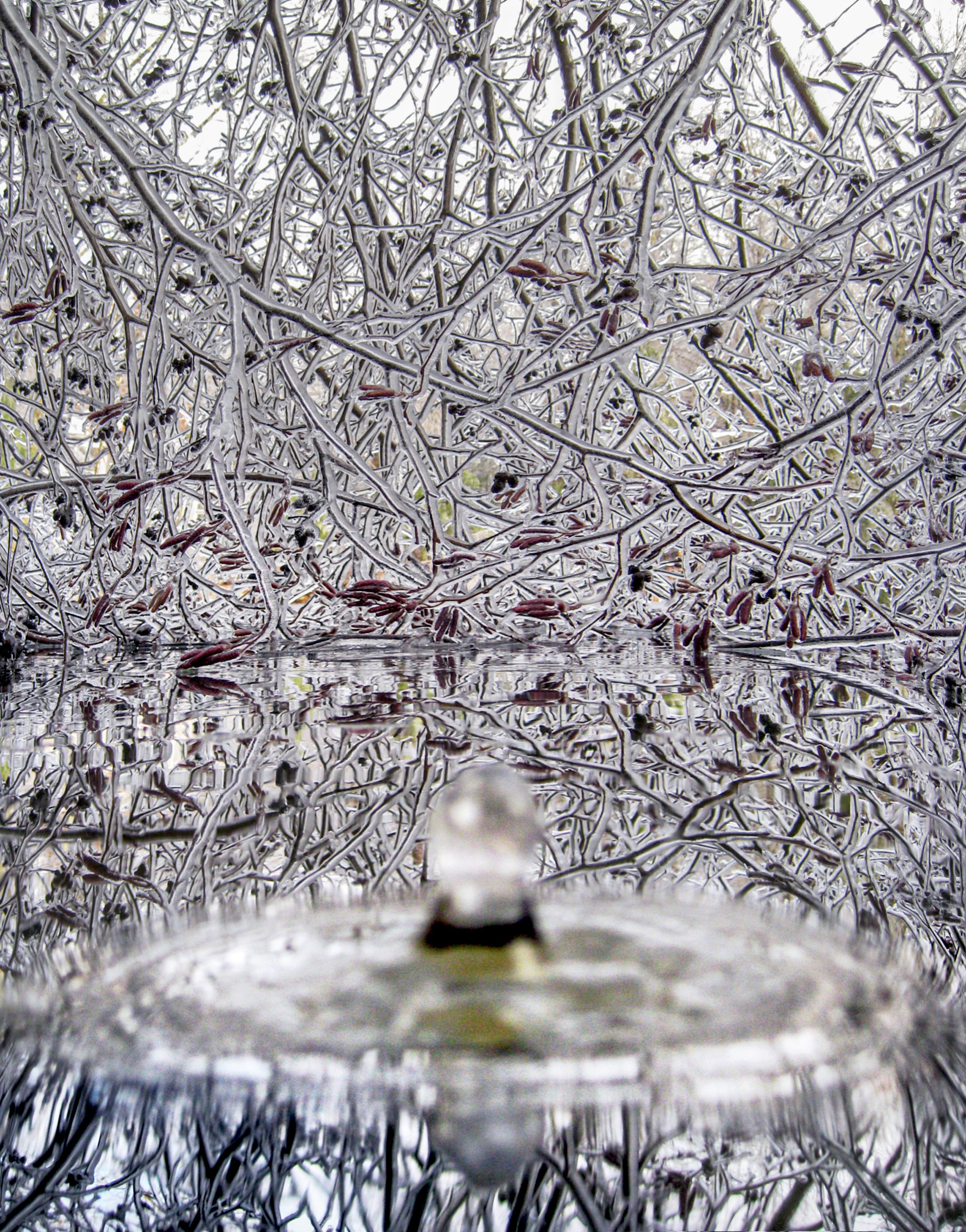 Water Drop, Ice Storm, Falmouth, Maine