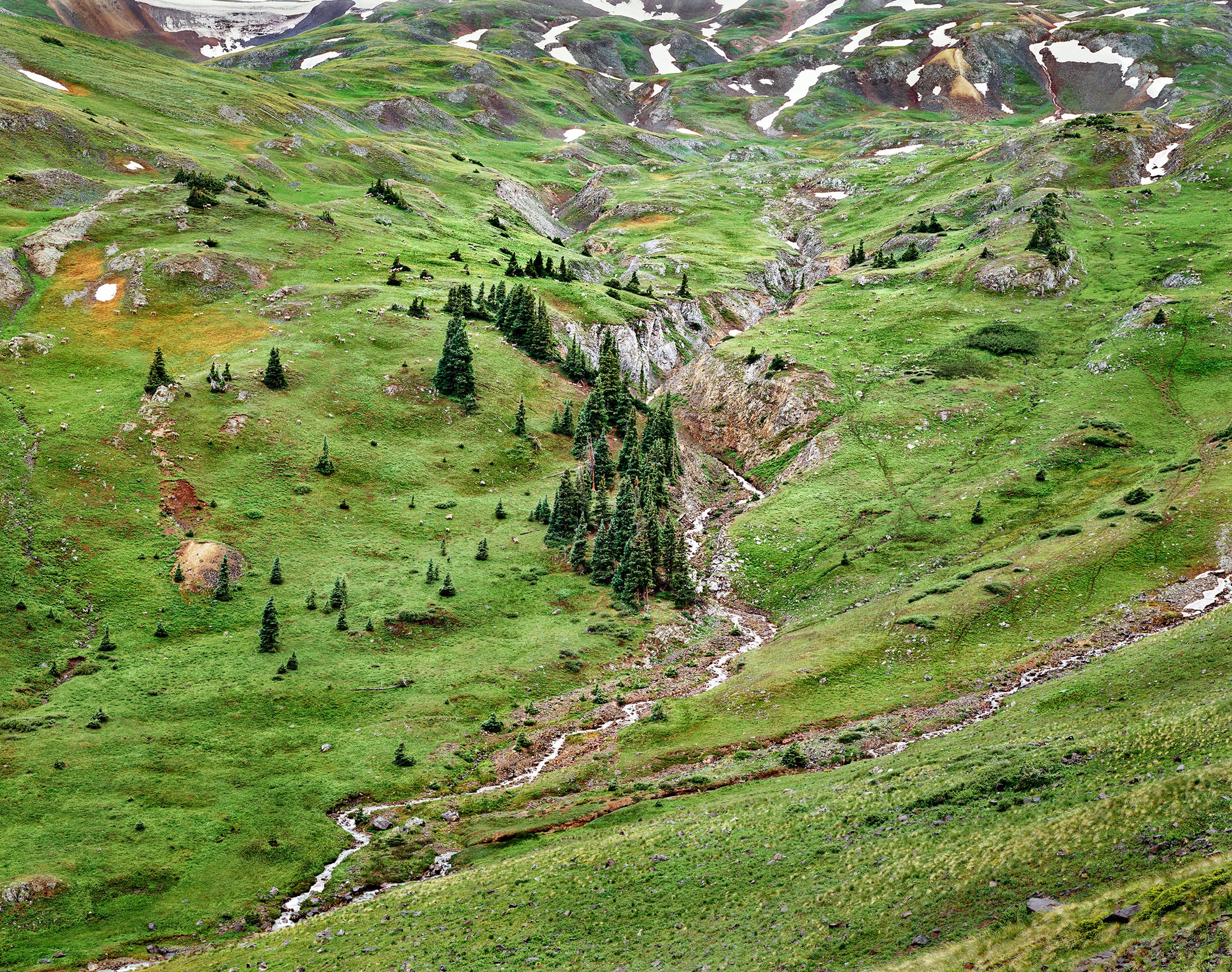 Palmetto Gulch, beneath Engineer Pass, San Juan Mountains, Colorado 