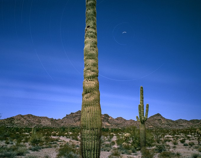 70. Saguaros, Full Moon, Sauceda Mountains, Arizona 9.9.2024.jpg