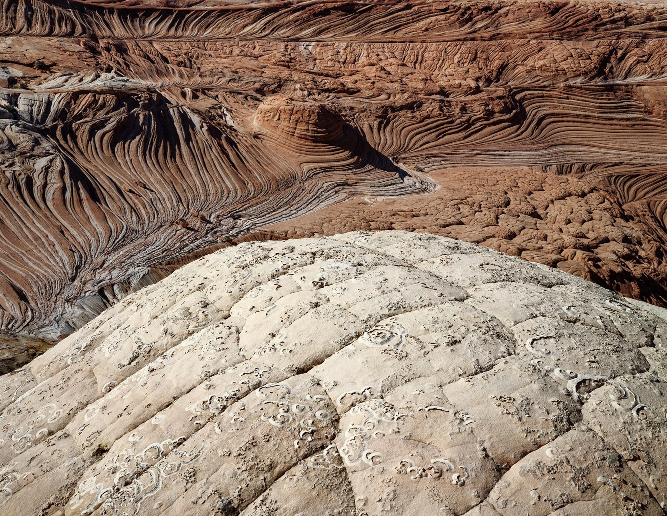 110. Coyotte Buttes, Vermillion Cliffs, Utah 4.14.2025.jpg