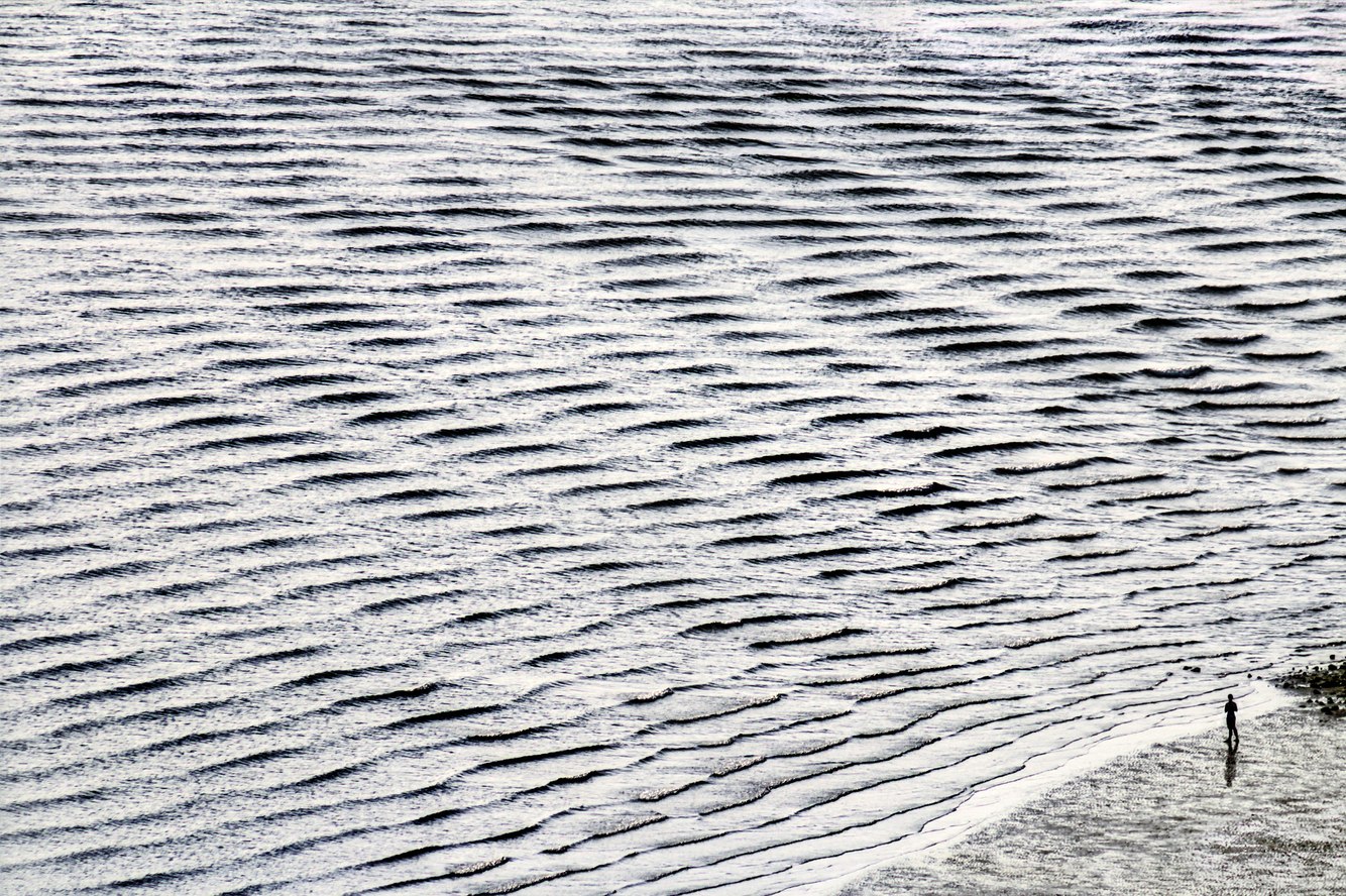 99. Ebb Tide, Elliott Bay, near Seattle, Washington 4.9.2025.jpg