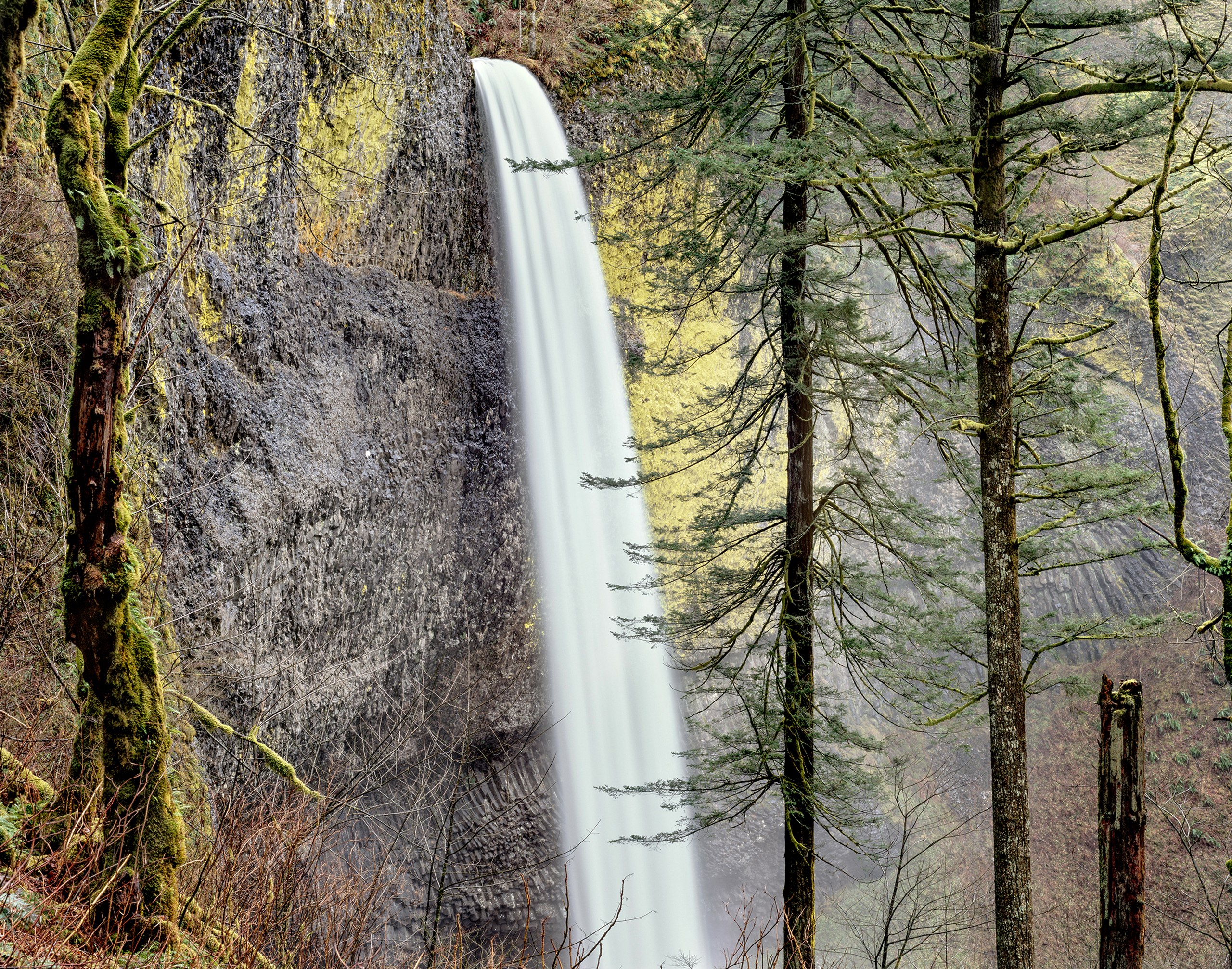 Latourell Falls, Upper View, Columbia River Gorge, Oregon 