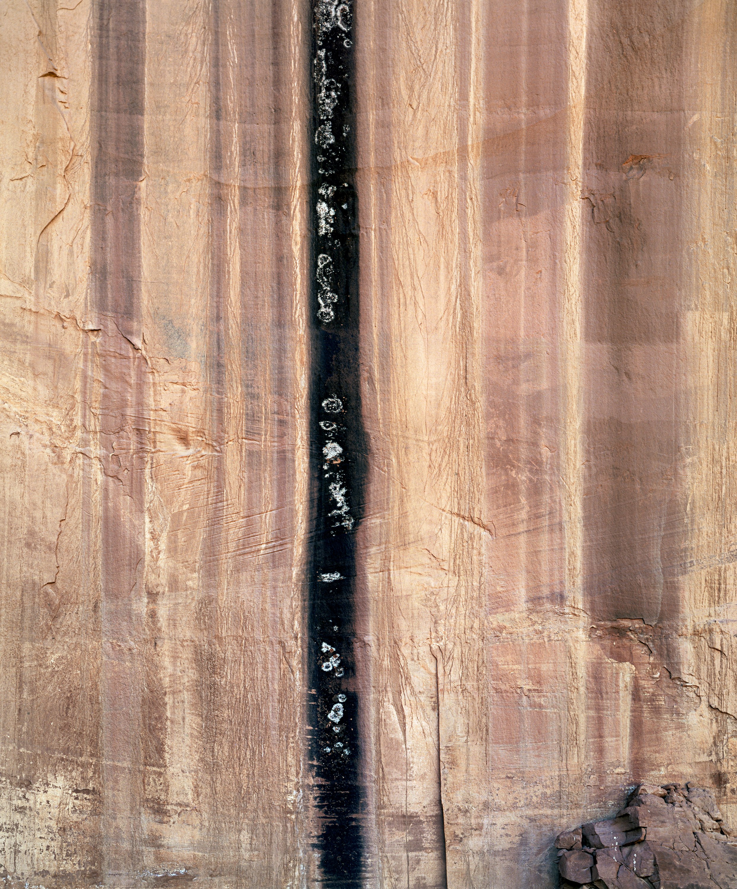 Desert Varnish and Lichens, Canyonlands, Utah 