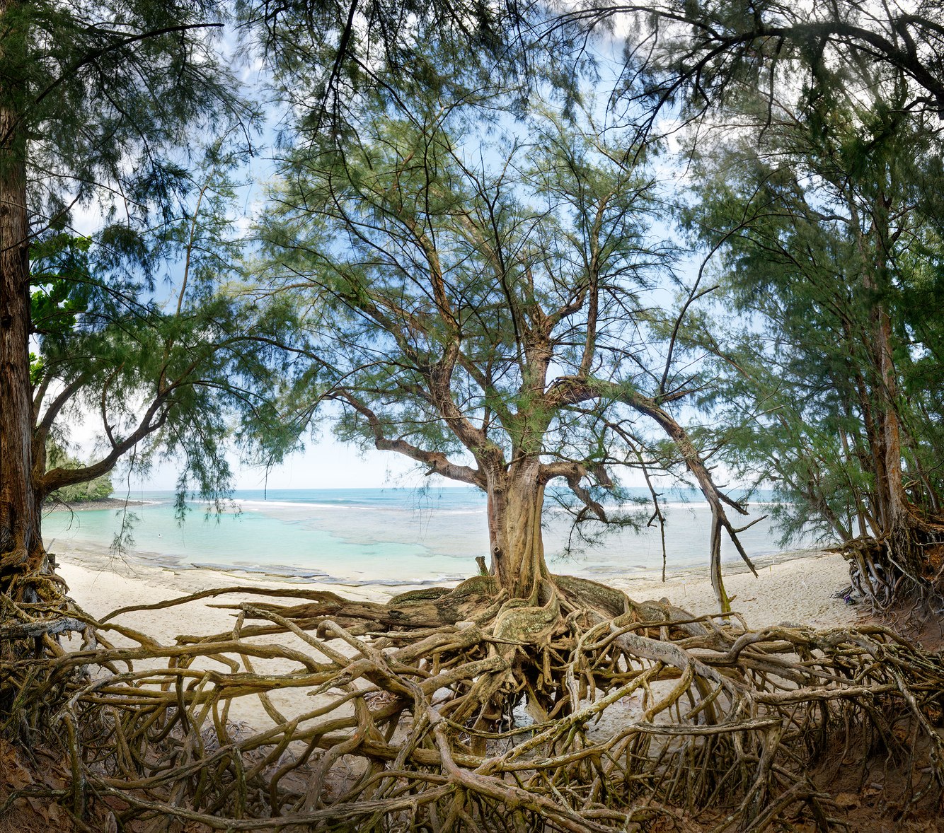 100. Ke e Beach, Kauai, Hawaii 3.29.2025.jpg