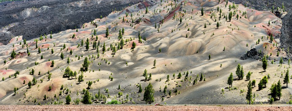 157. Painted Dunes, below Cinder Cone, Lassen Volcanic National Park, California 3.22.2026.jpg