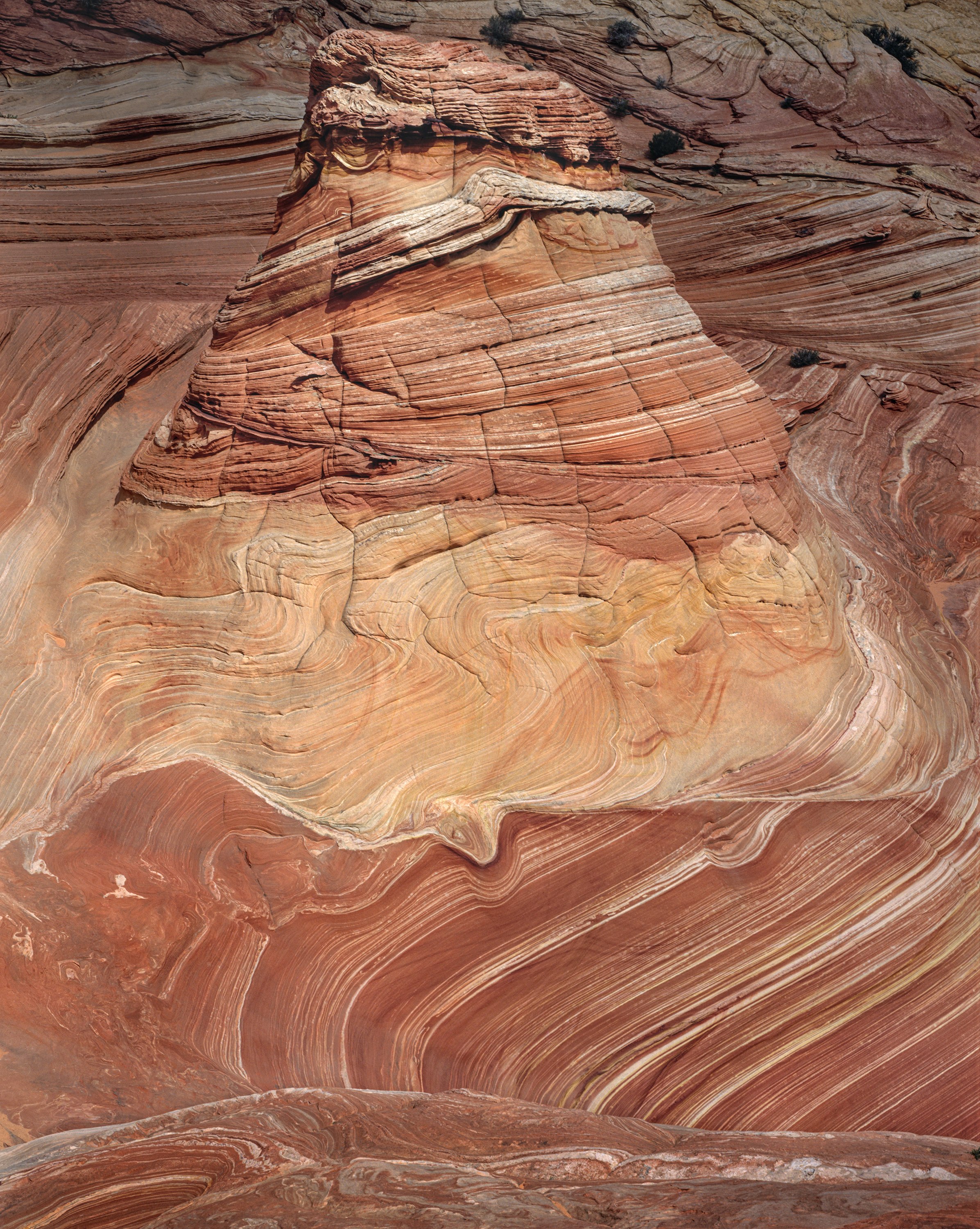 Outcrop, Coyote Buttes, Utah