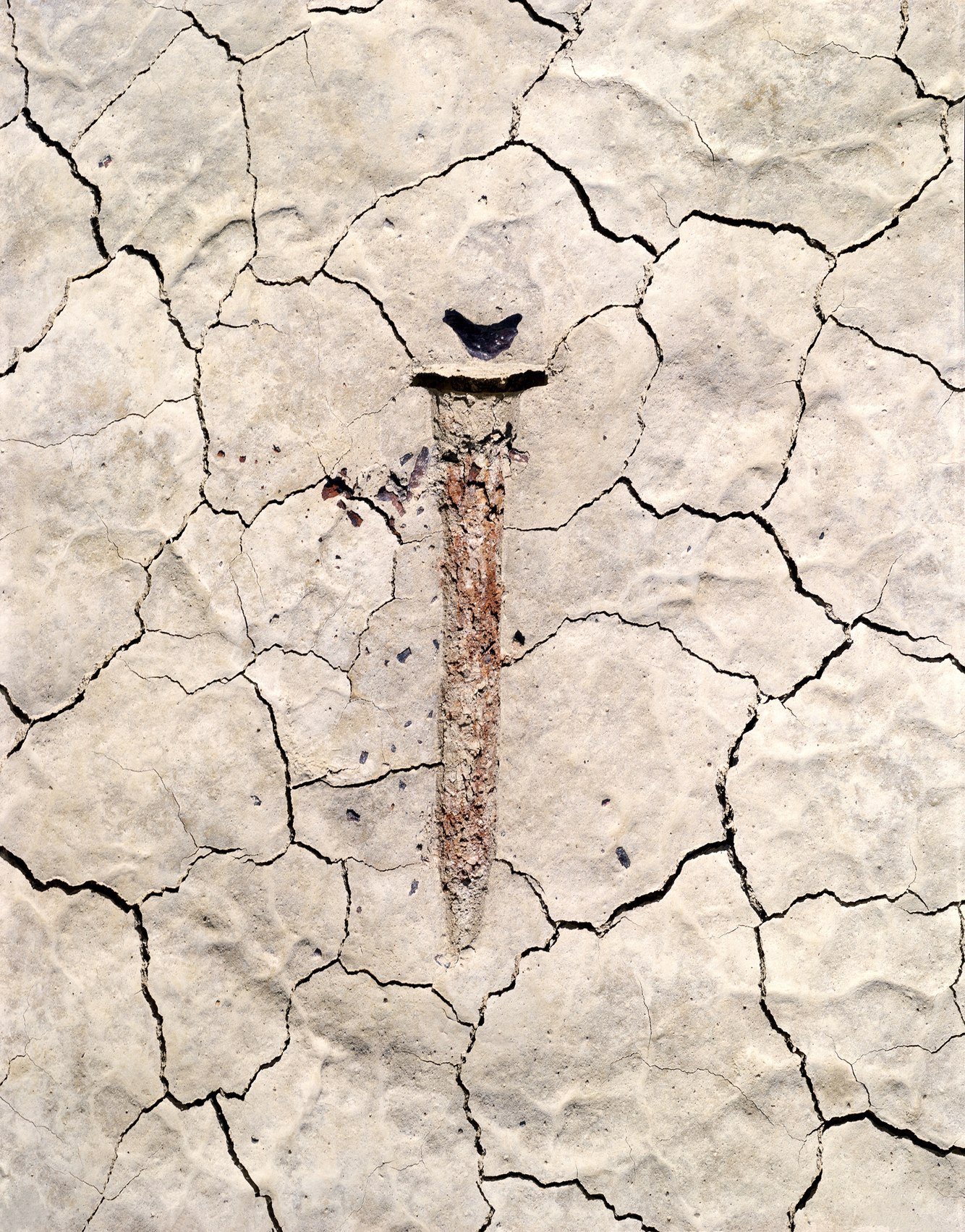 80. Survey Boundary Marker Impression, Black Rock Desert, Nevada 11.9.2024.jpg