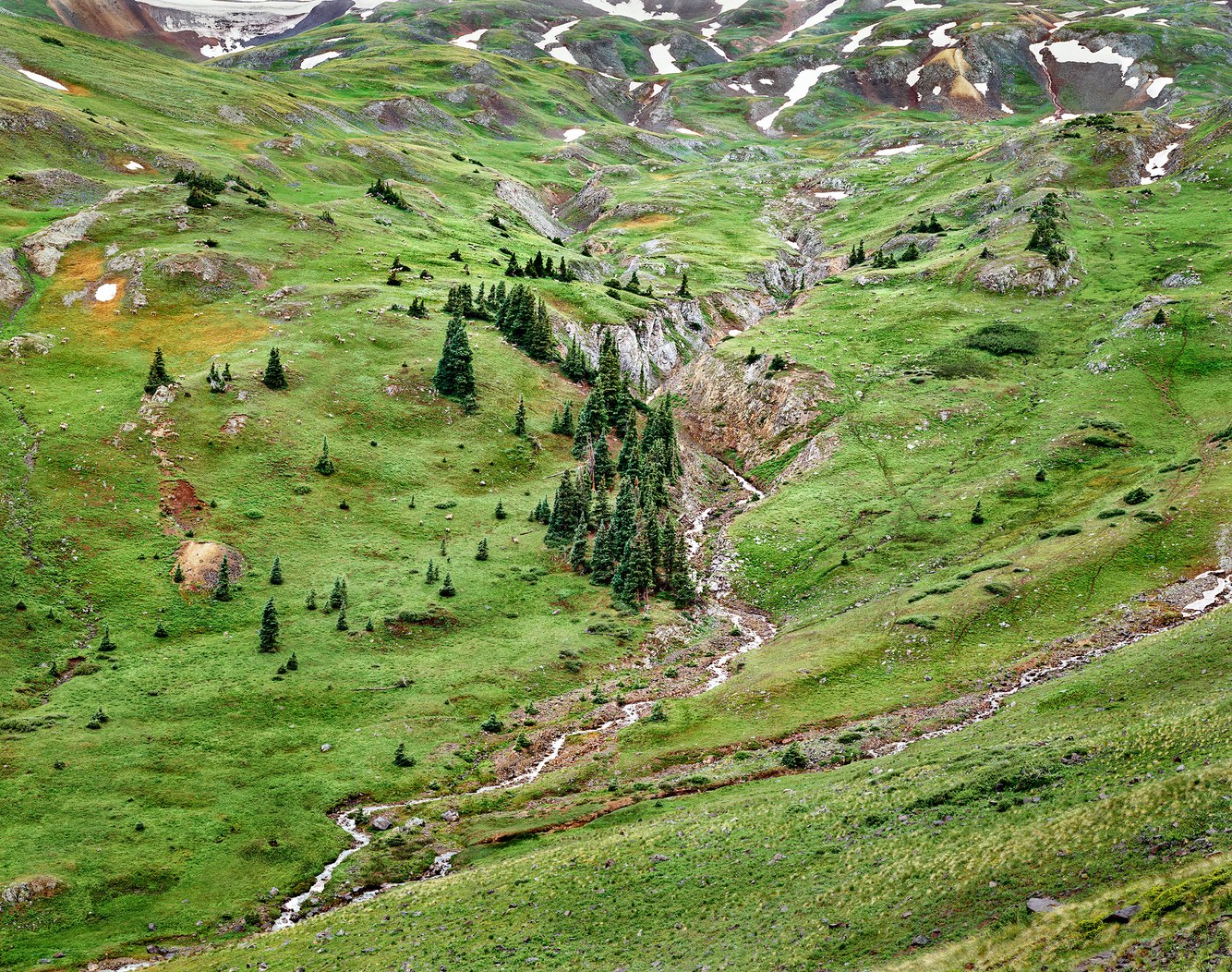 166. Palmetto Gulch, beneath Engineer Pass, San Juan Mountains, Colorado 6.23.2026.jpg