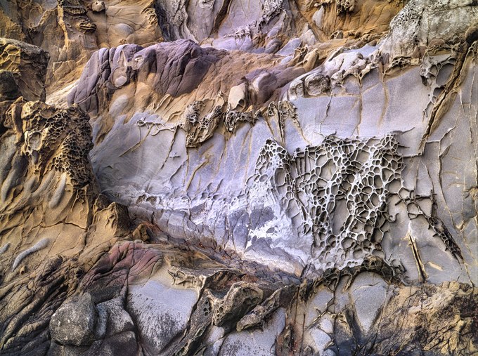 38. Sandstone Tafoni Formation, Pebble Beach, California Coast.jpg