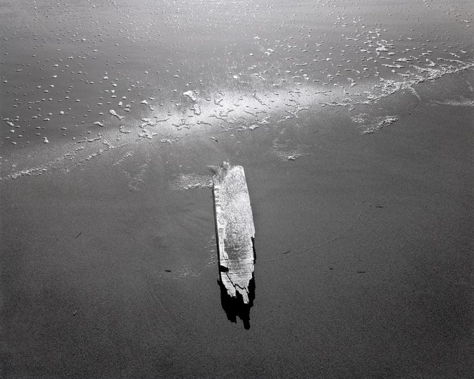 146. Drift Lumber, Nauset Beach, Cape Cod, Massachusetts 3.5.2026.jpg