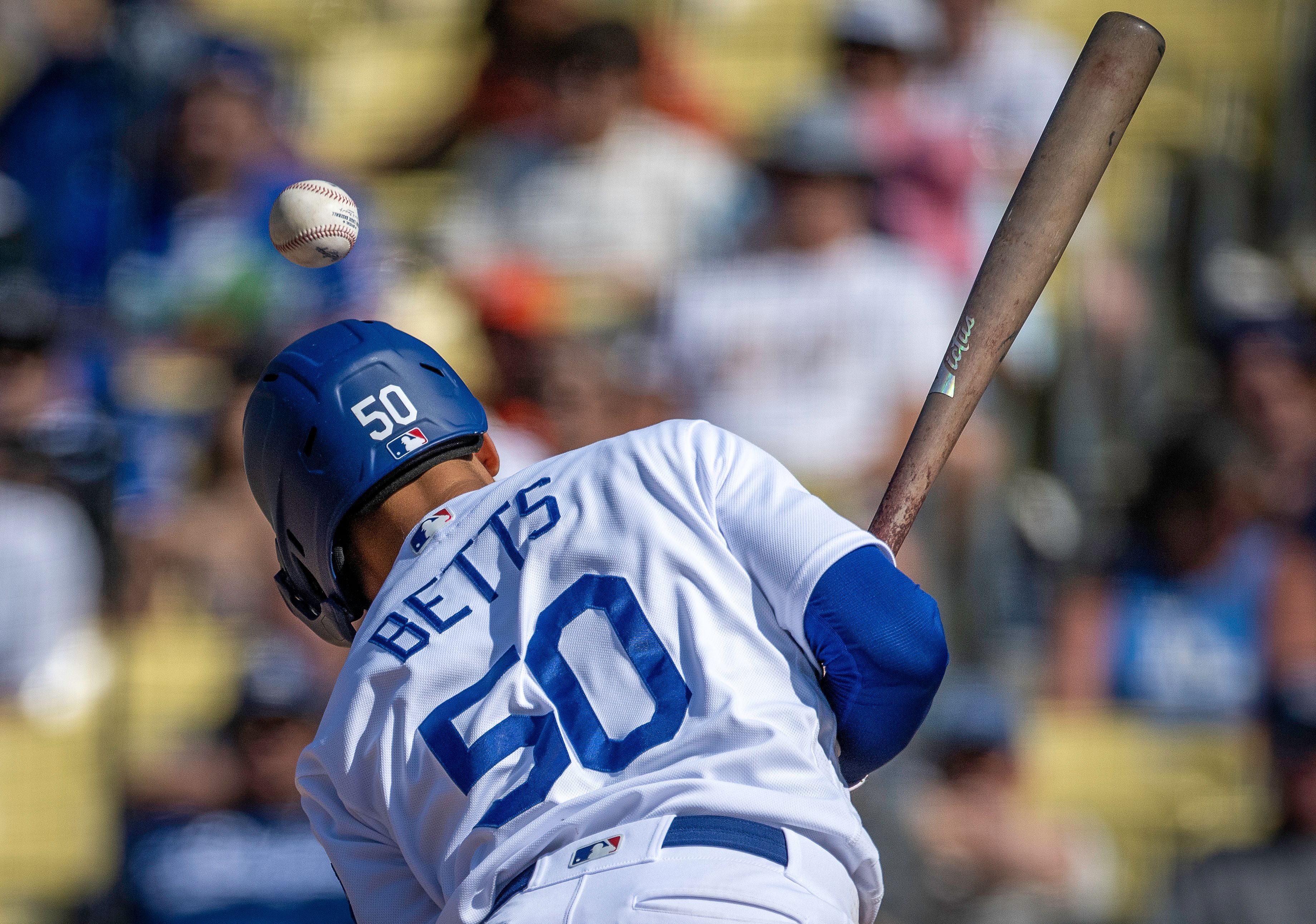 USA_CA_LA_Dodgers_DOG1190b.jpg
