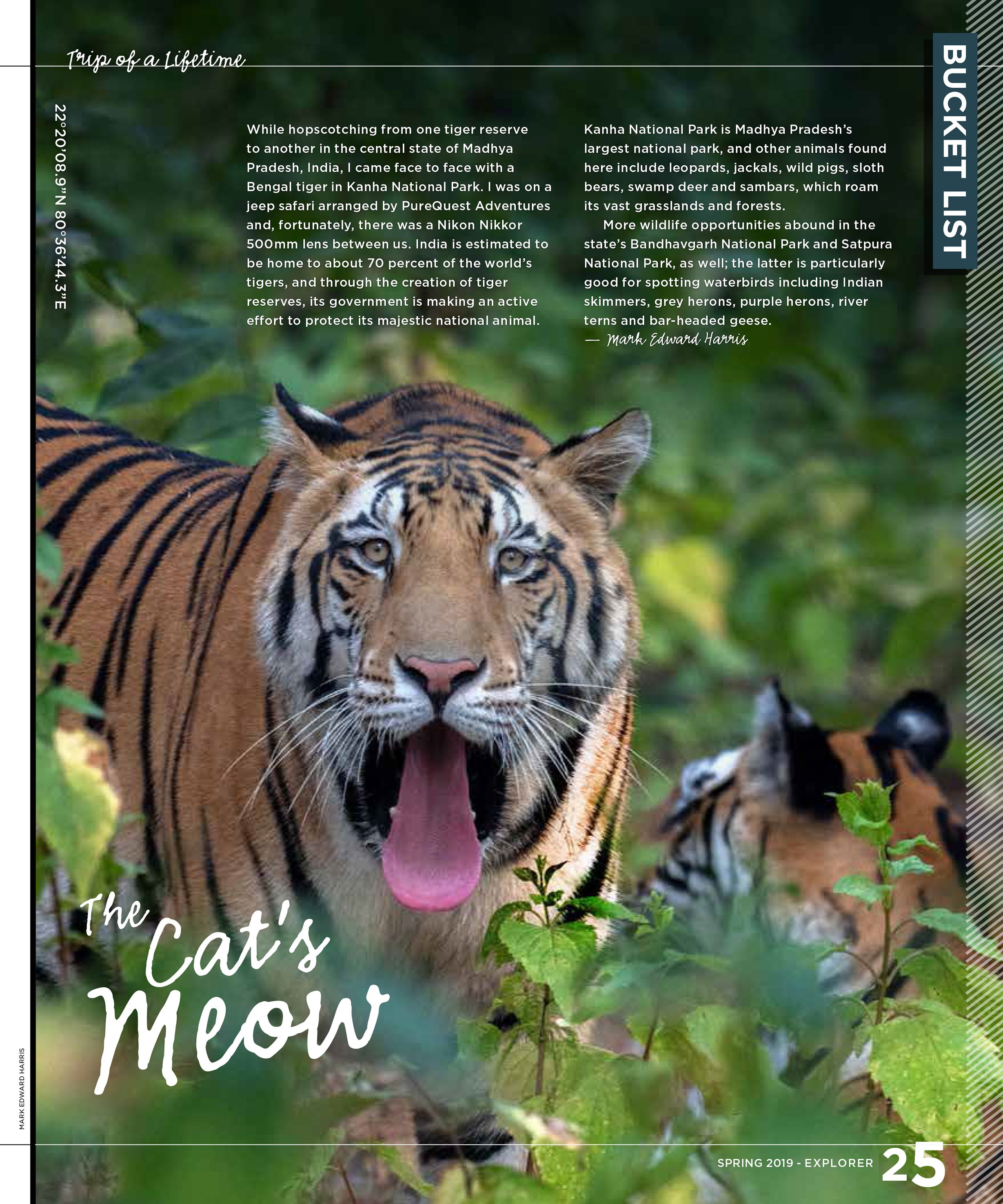 TAW_Explorer_Spring 2019 Bucketlist.jpg