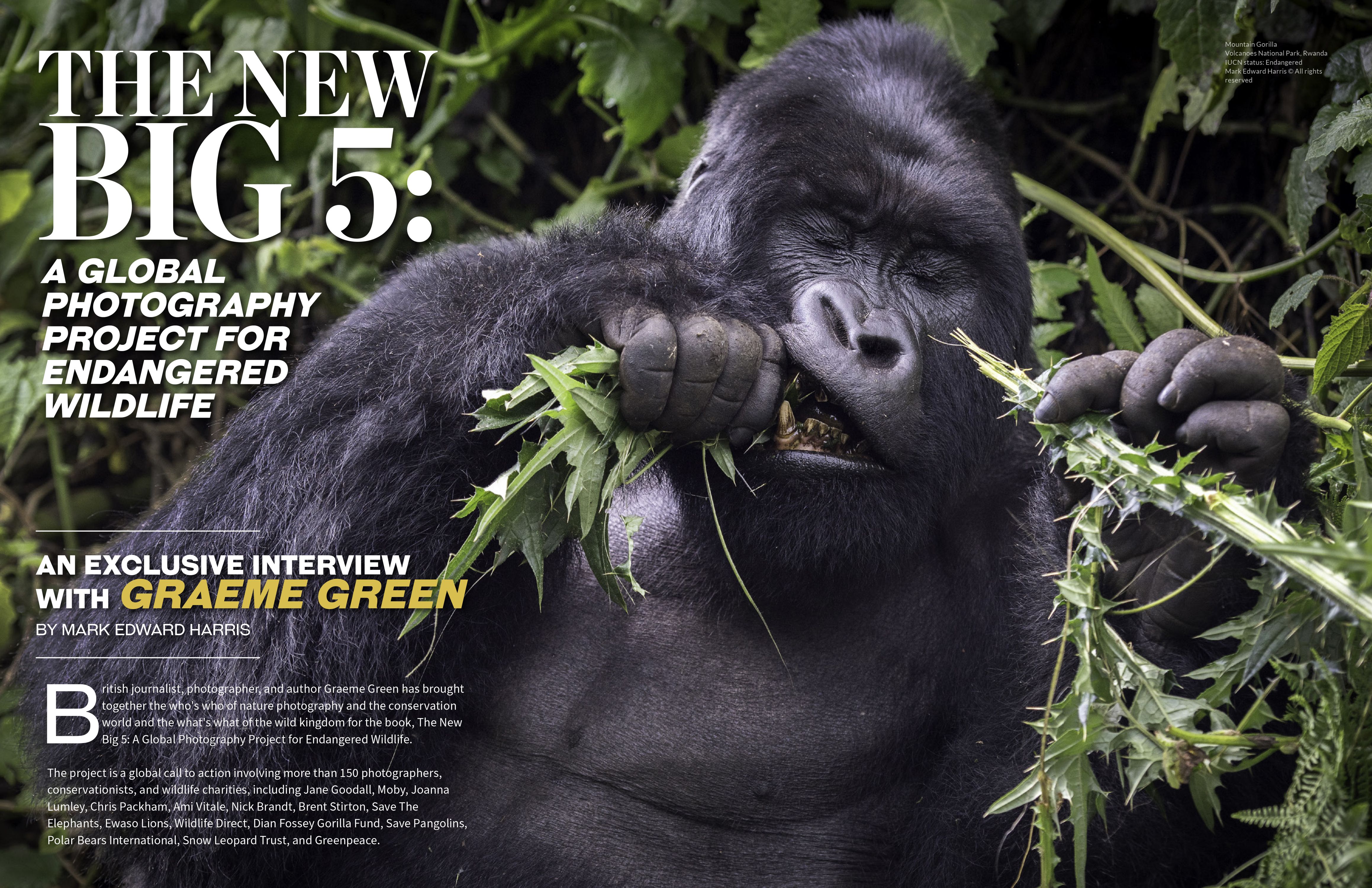 Lens Magazine_Issue103_Mark_E_H_The BIG5-1_web.jpg