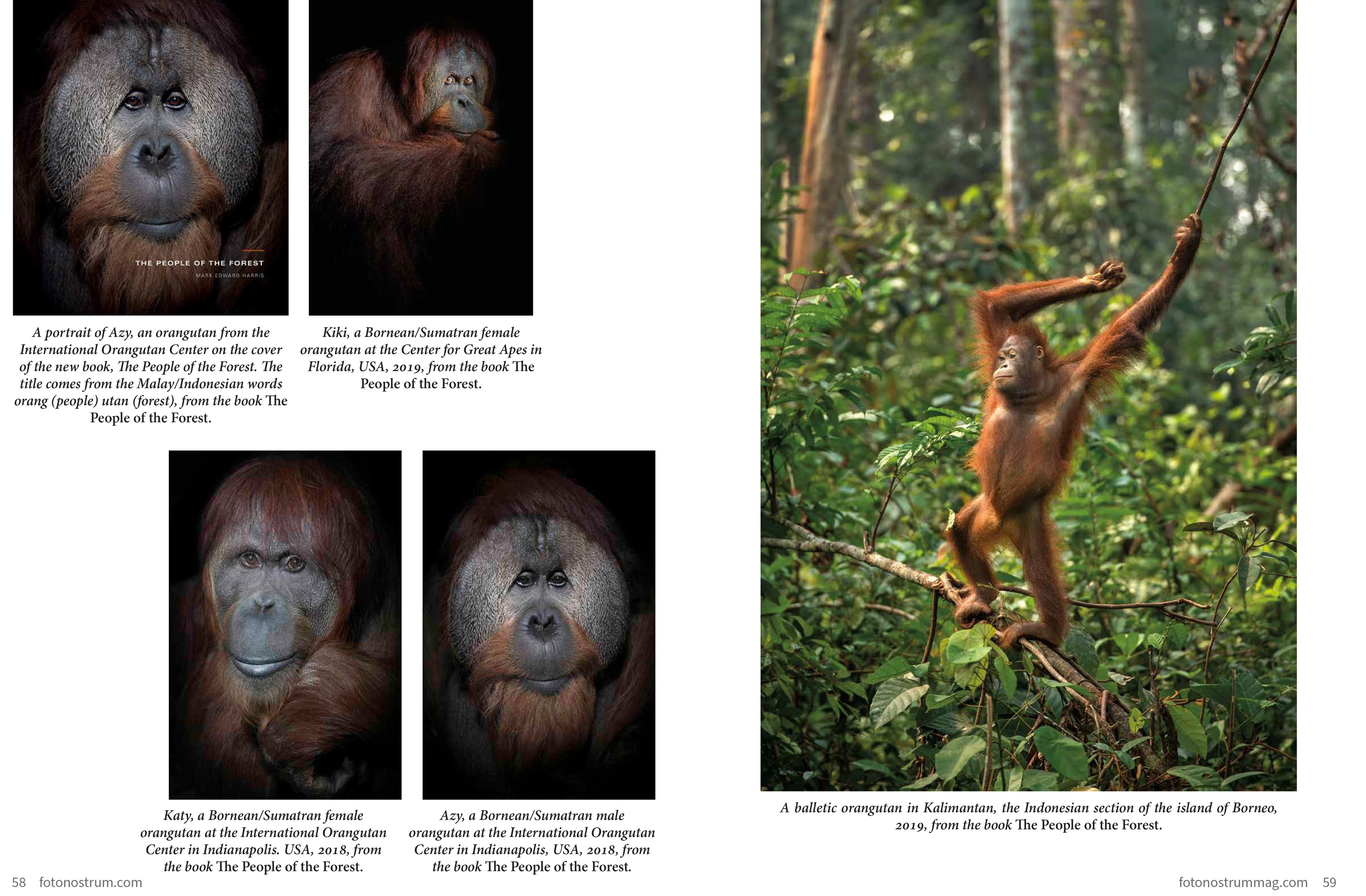 Fotonostrum_Issue No.14 -30.jpg