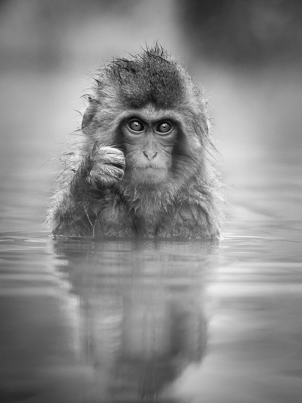Travel/Documentary Photography