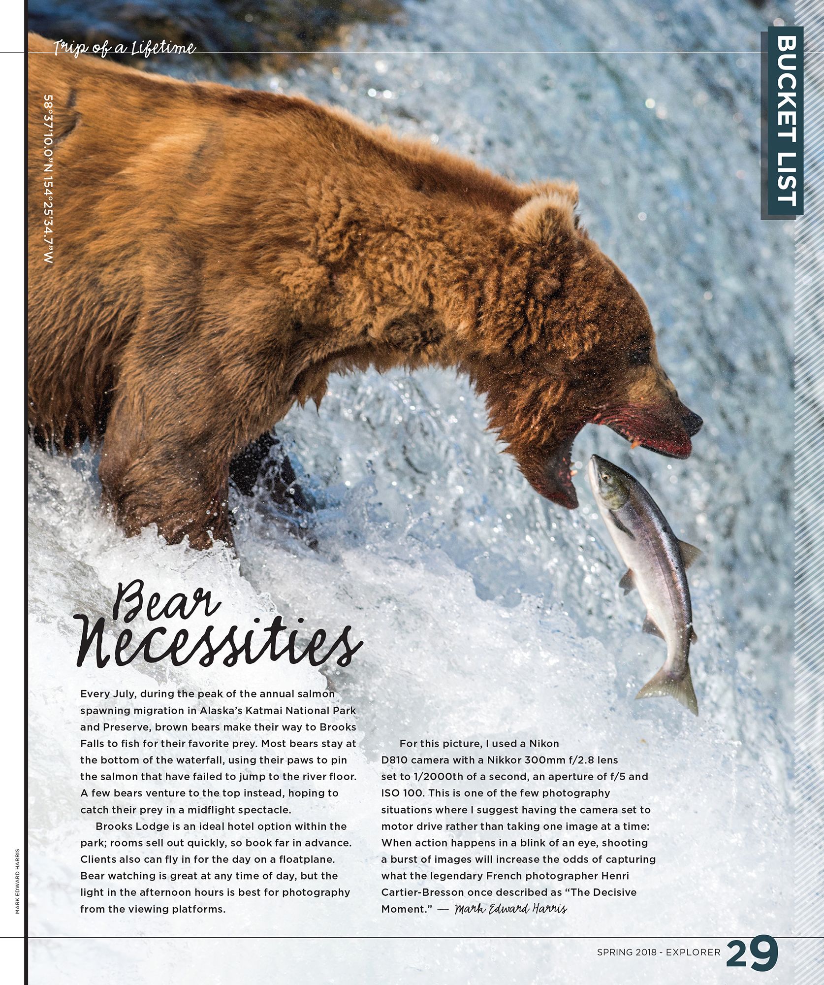 Bucket List Bear.jpg