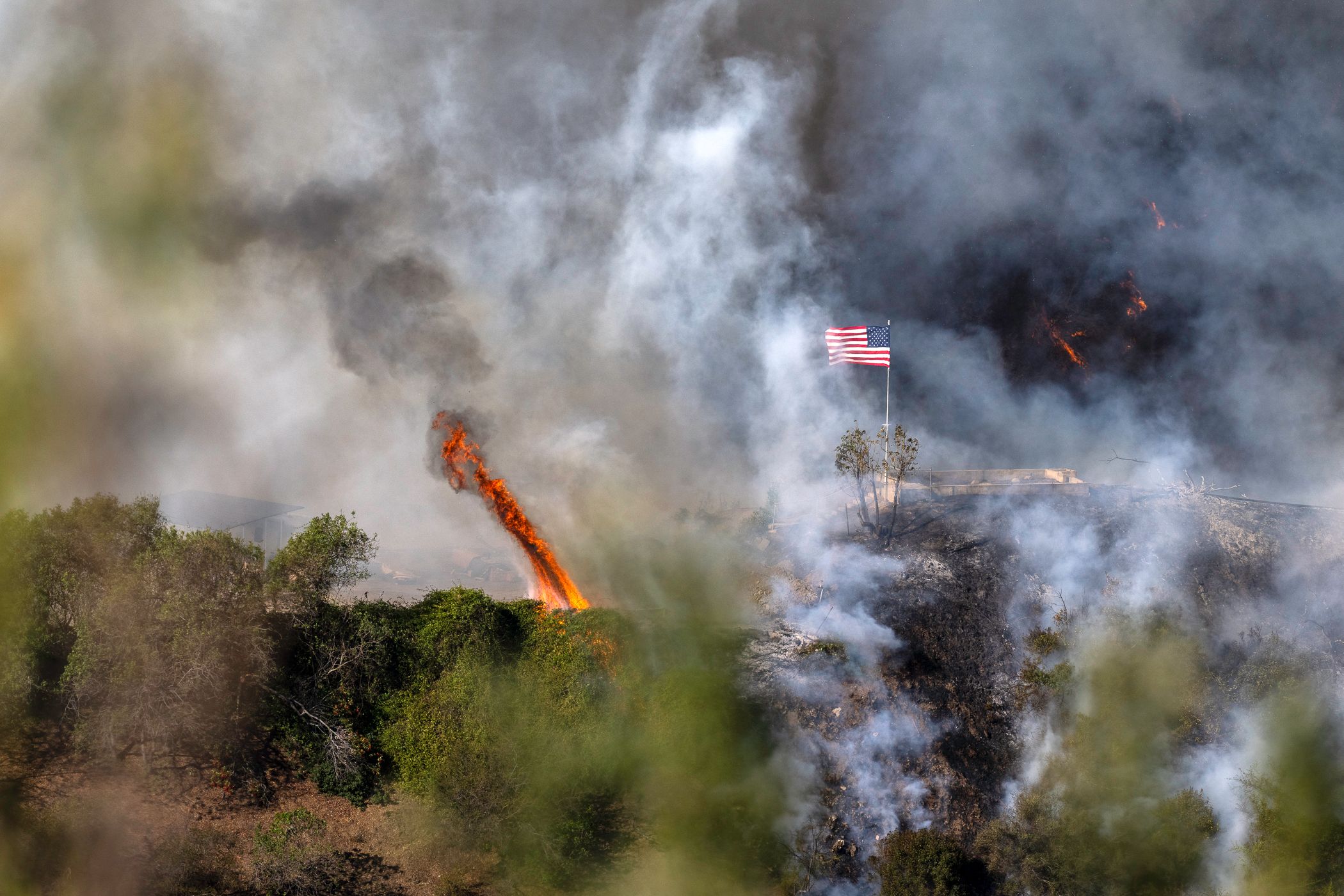 USA_CA_LA_Palisades Fire_LA11457.jpg