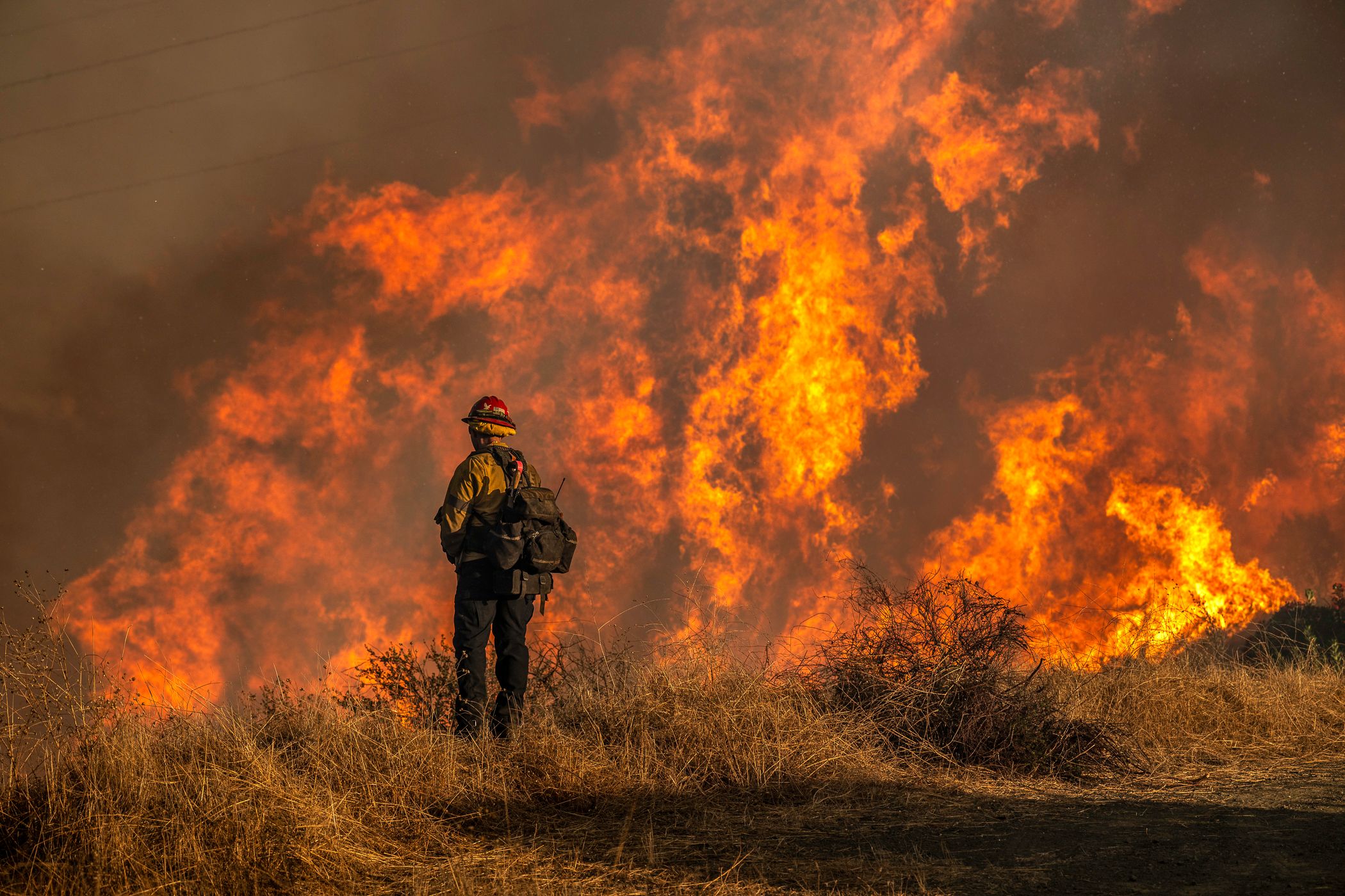 USA_CA_LA_Palisades Fire_LAF8345.jpg