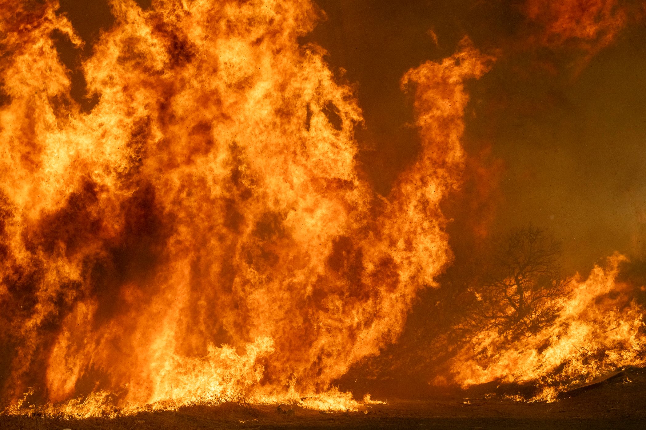 USA_CA_LA_Palisades Fire_LAF8359.jpg