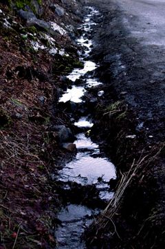 10_0_115_1small_river.jpg