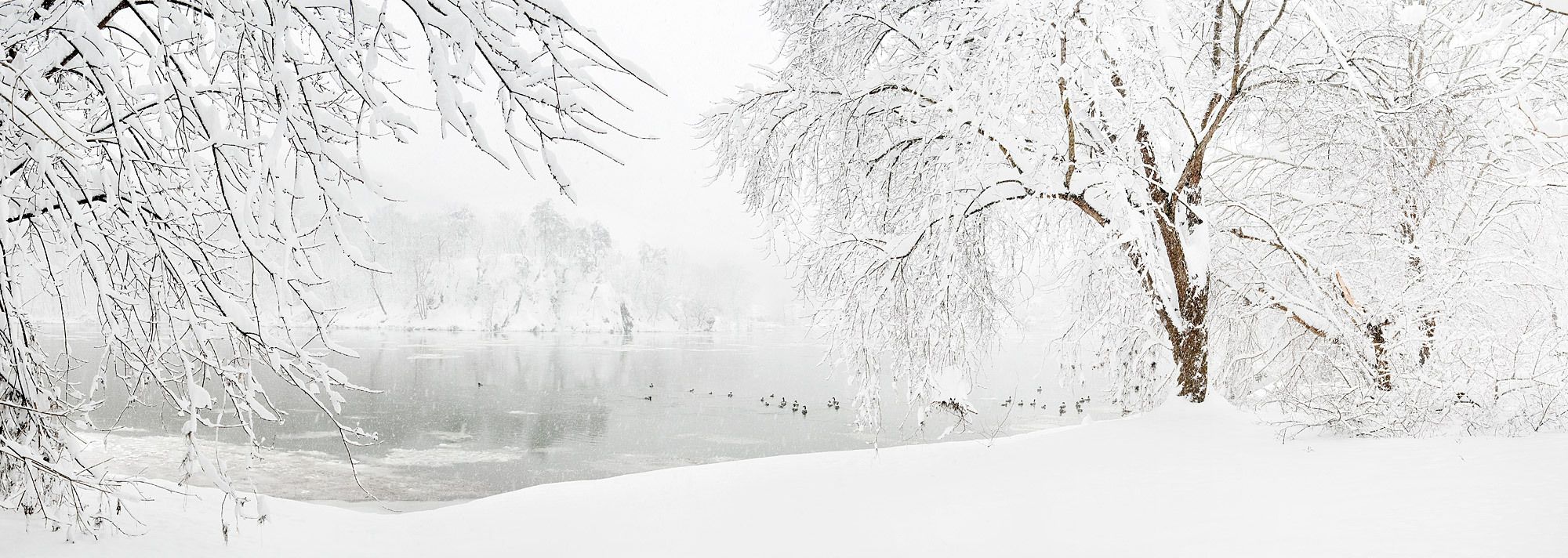 1owsley_100206_anglersputin