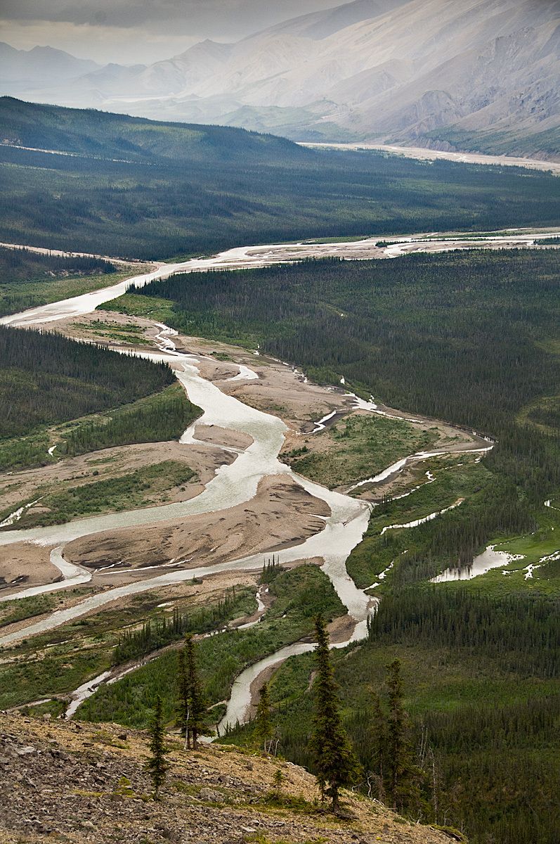 1the_mountain_river__nwt